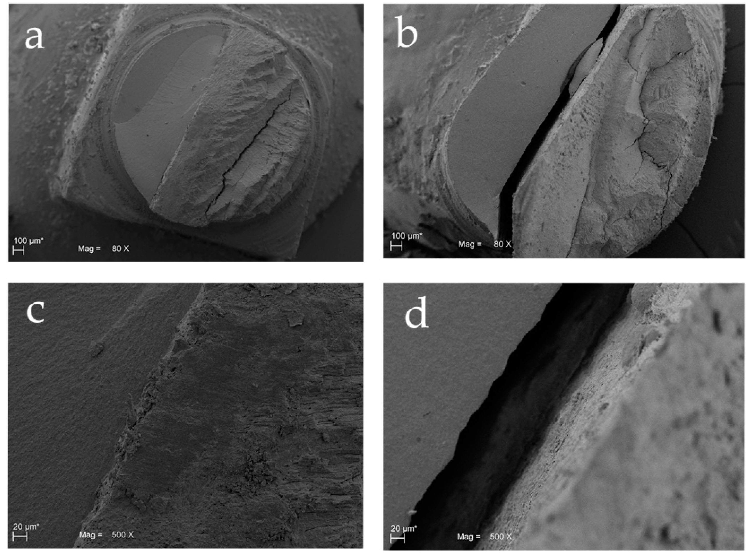 Materials 13 03026 g004 Materials 13 03026 g004