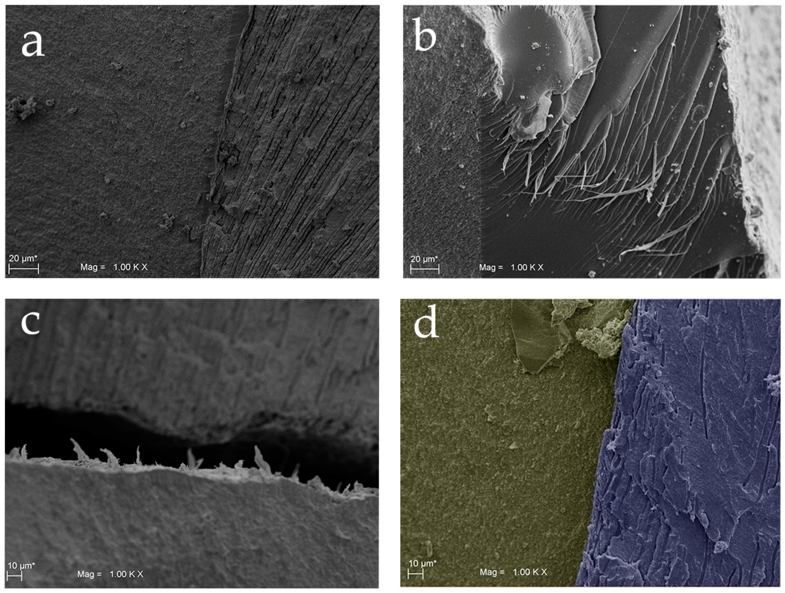 Materials 13 03026 g005 Materials 13 03026 g005