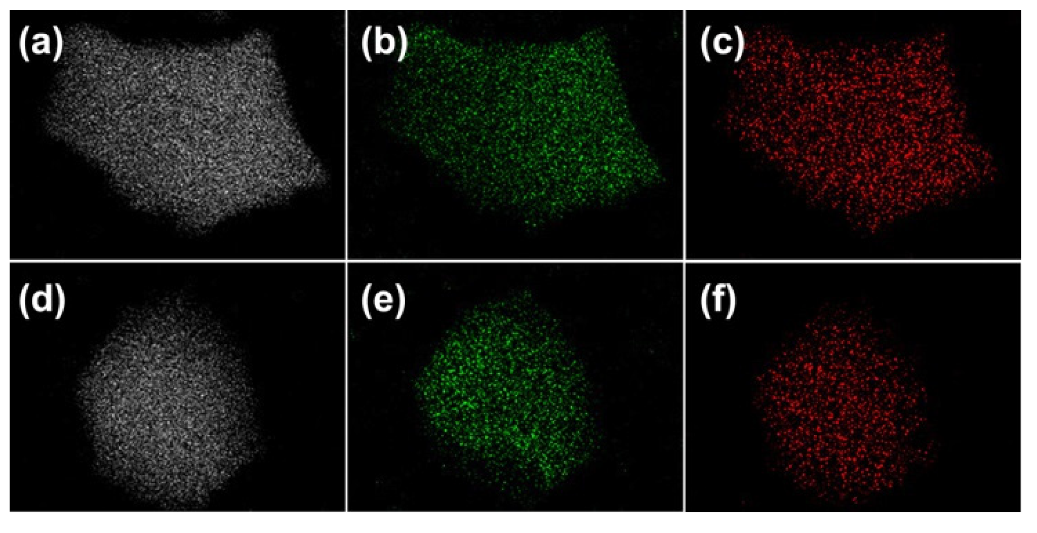 Materials 13 03036 g004