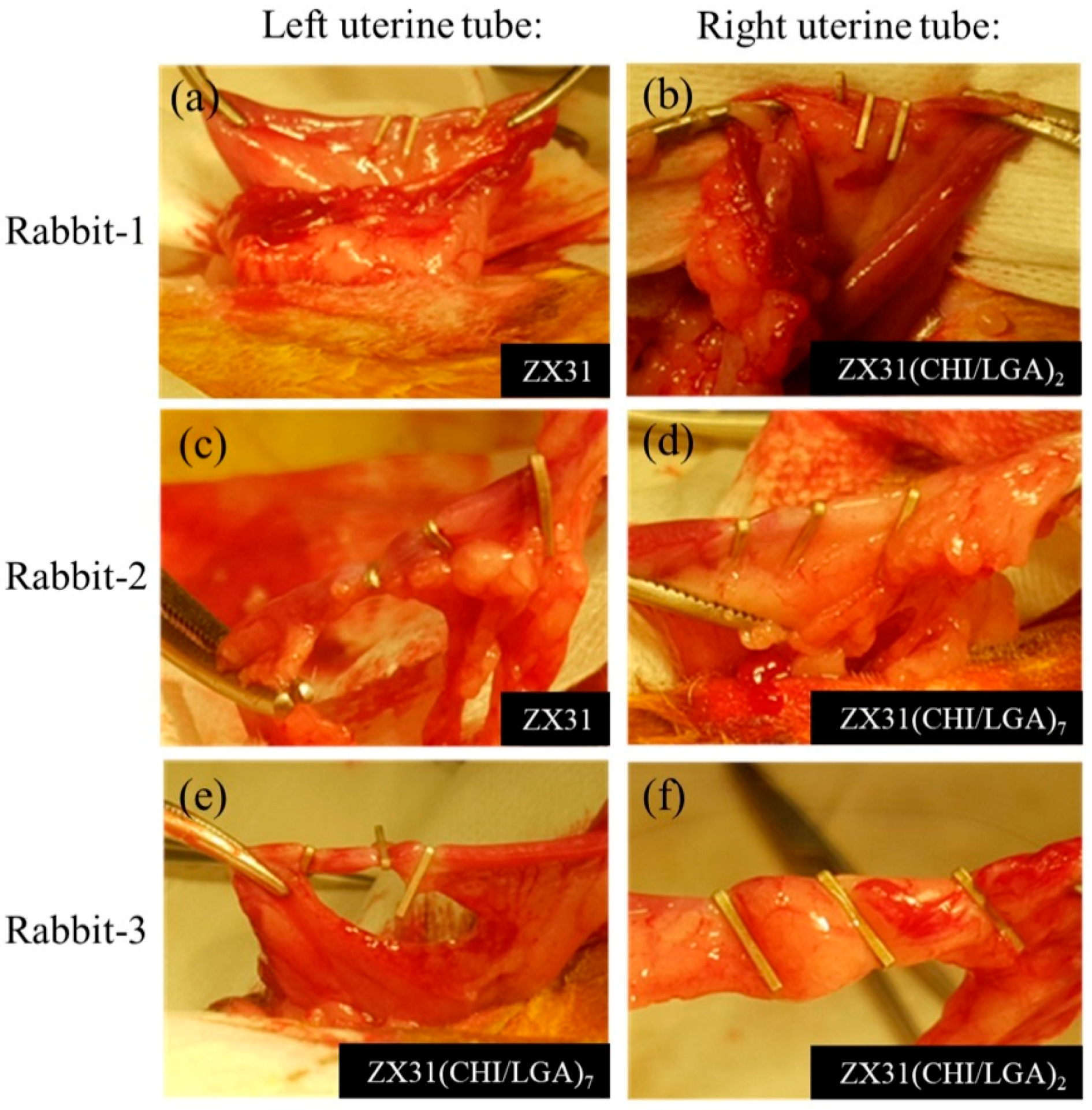 Materials 13 03039 g007