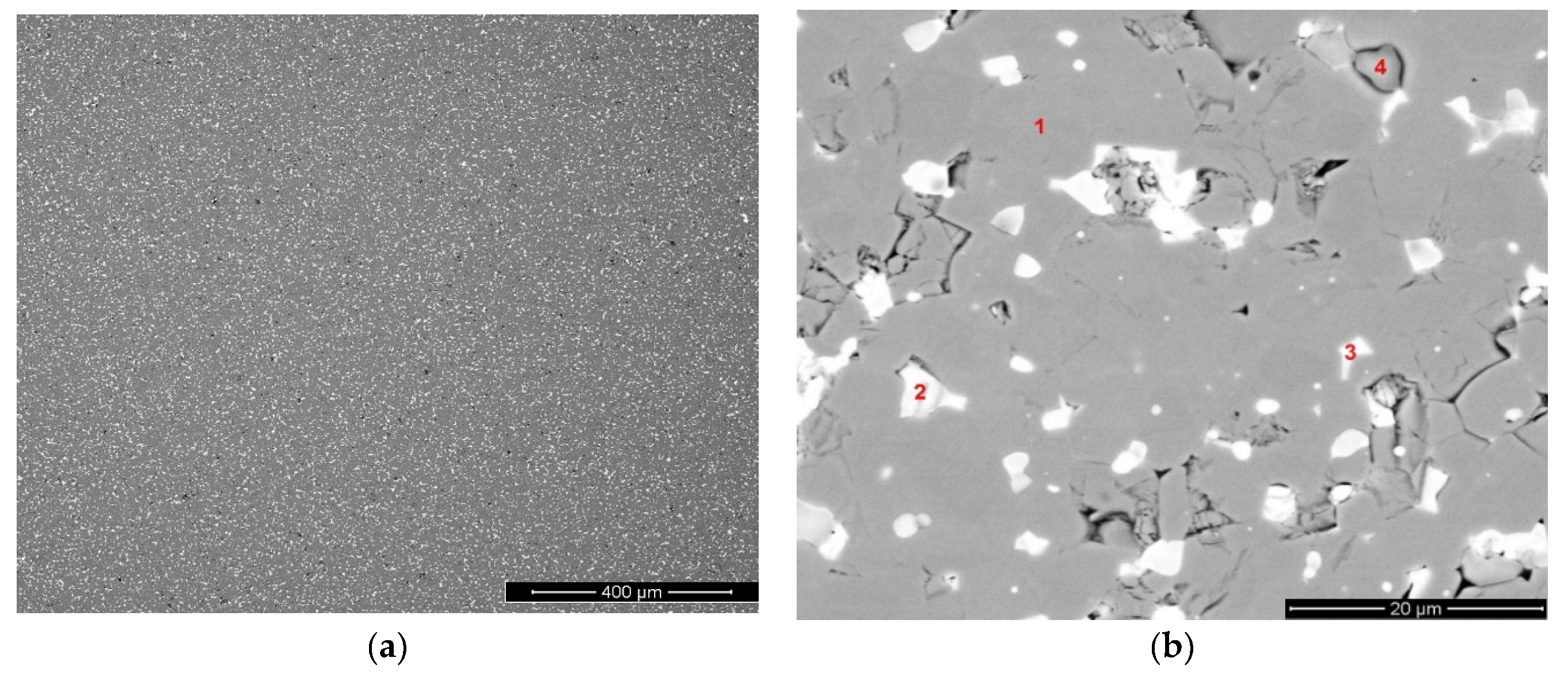 Materials 13 03049 g002