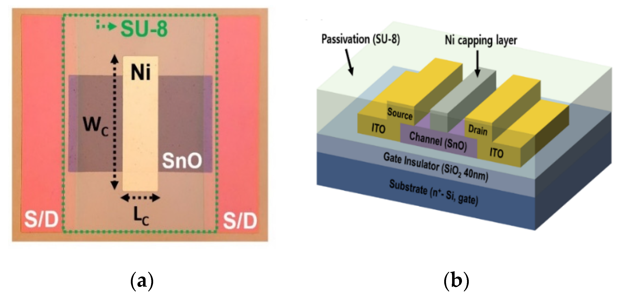 Materials 13 03055 g001