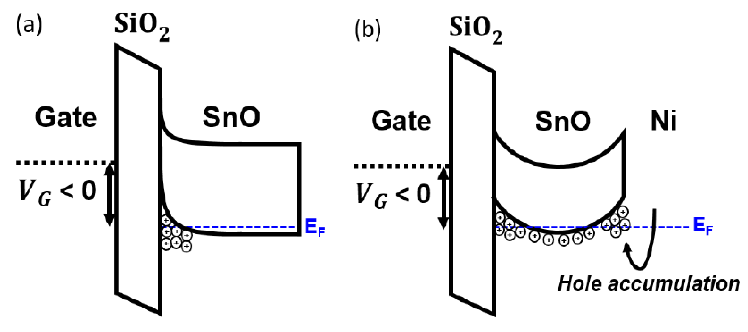 Materials 13 03055 g005