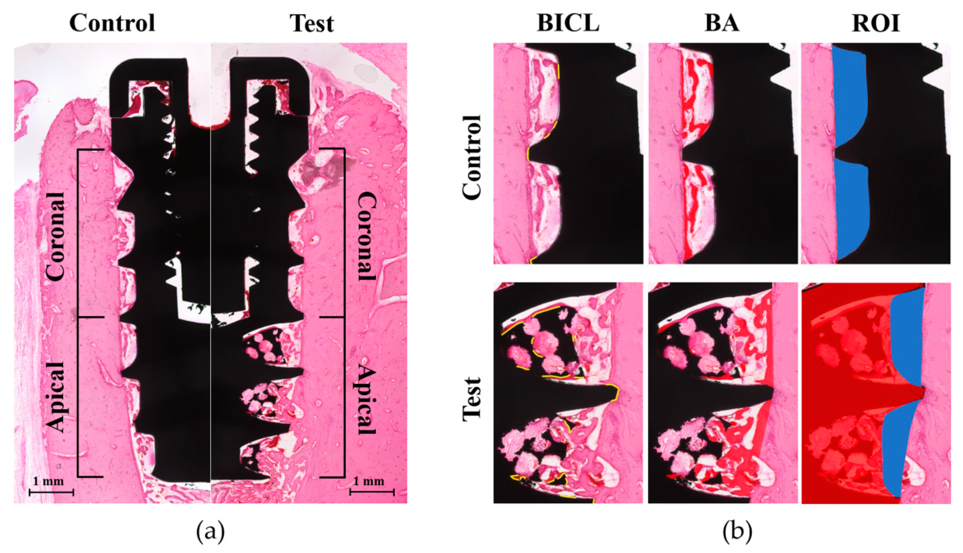 Materials 13 03061 g004