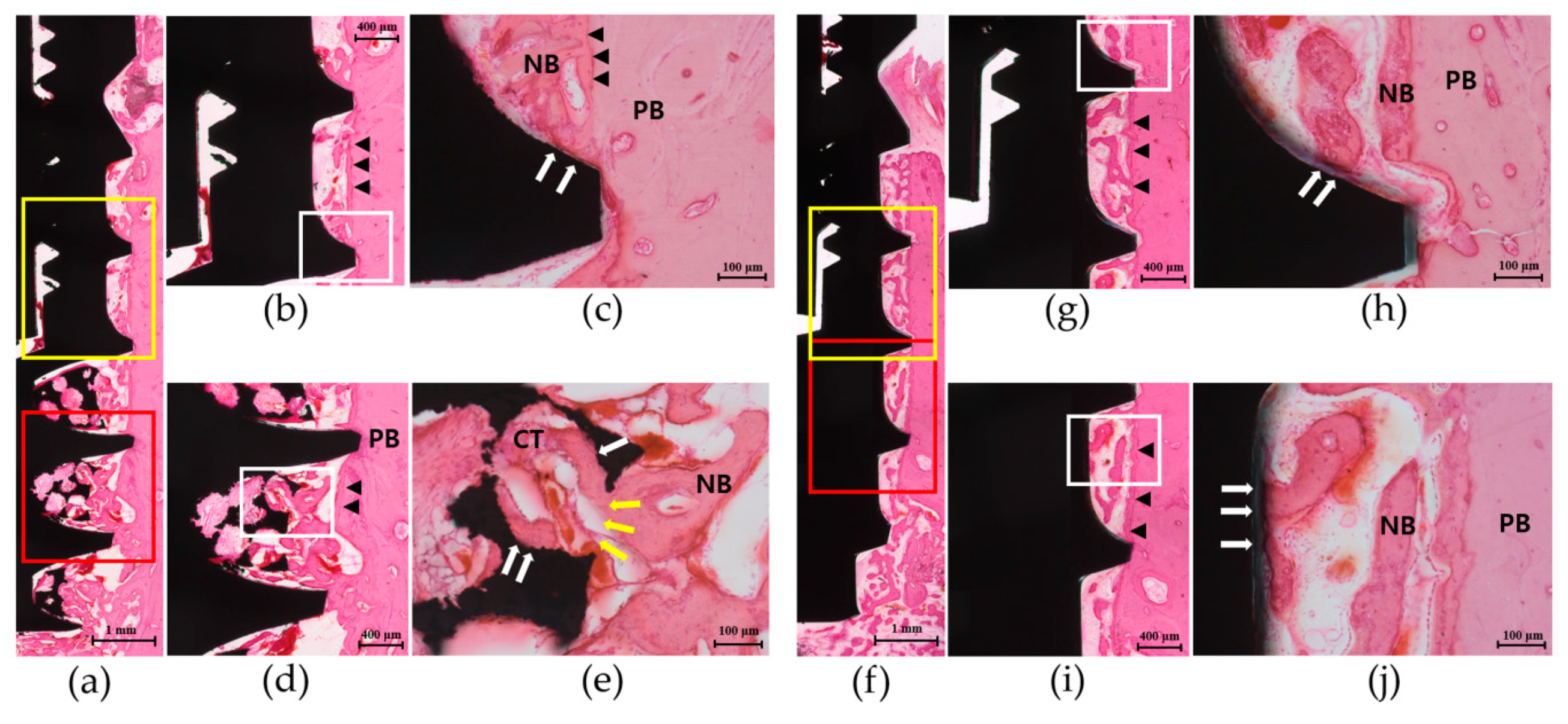 Materials 13 03061 g006