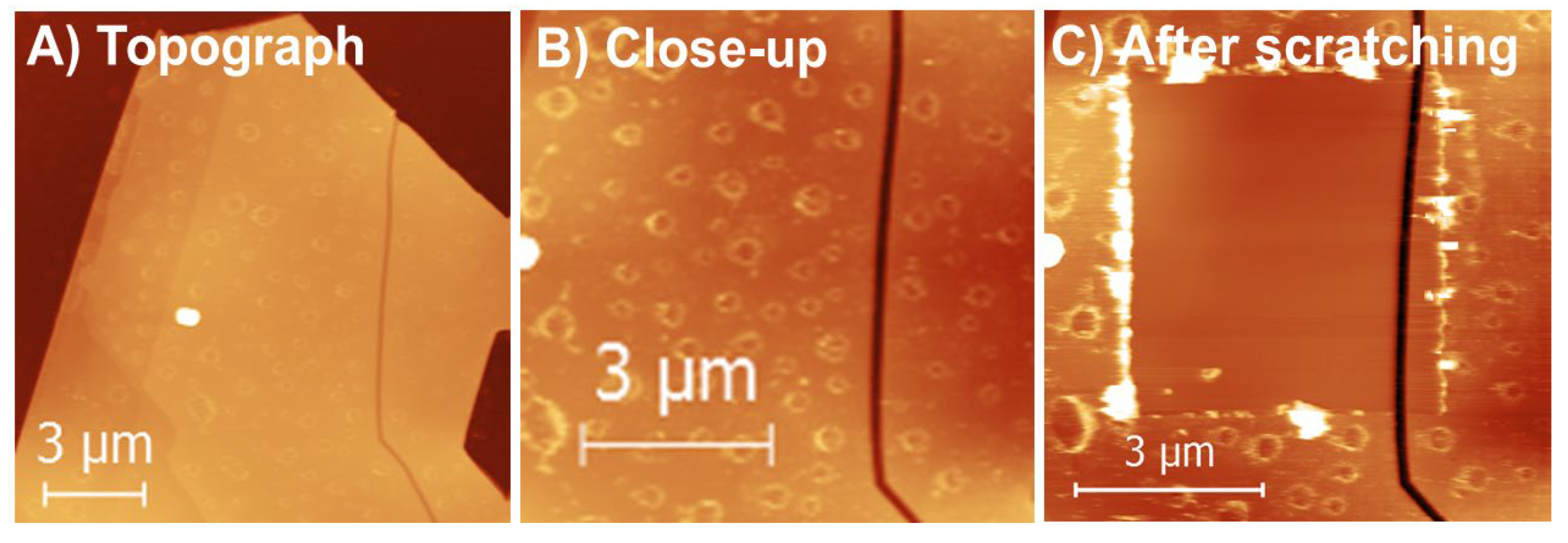 Materials 13 03067 g006