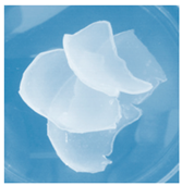 Materials 13 03073 i002