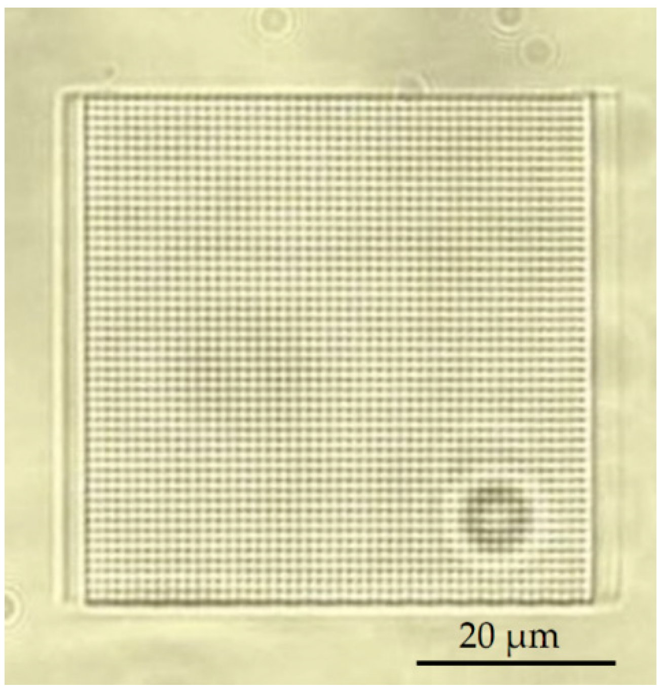 Materials 13 03076 g006