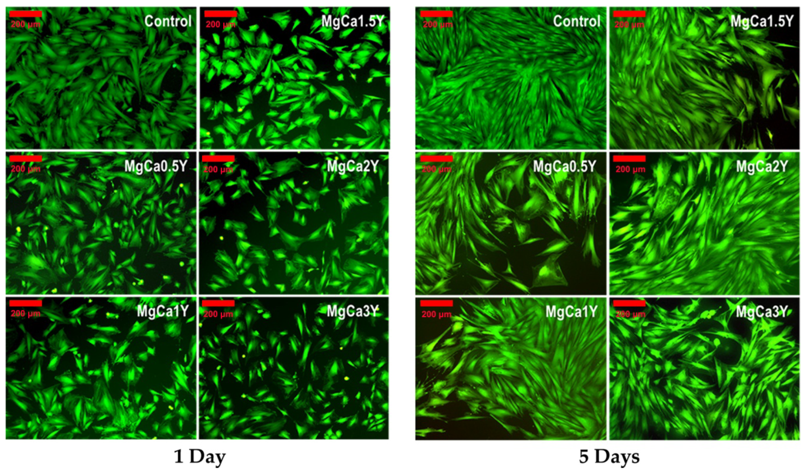 Materials 13 03082 g009
