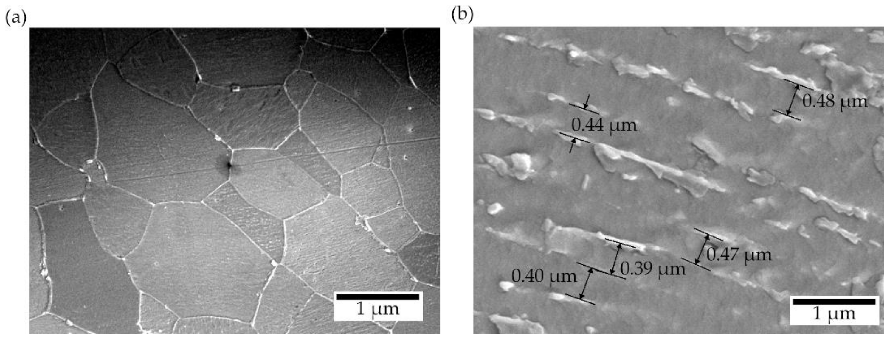 Materials 13 03085 g005