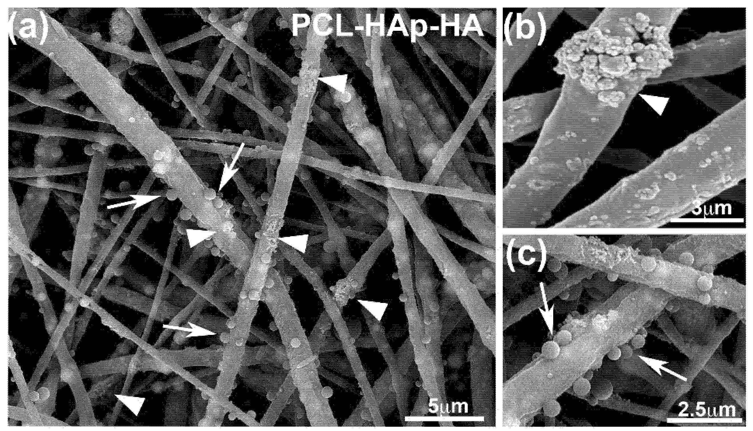 Materials 13 03087 g001
