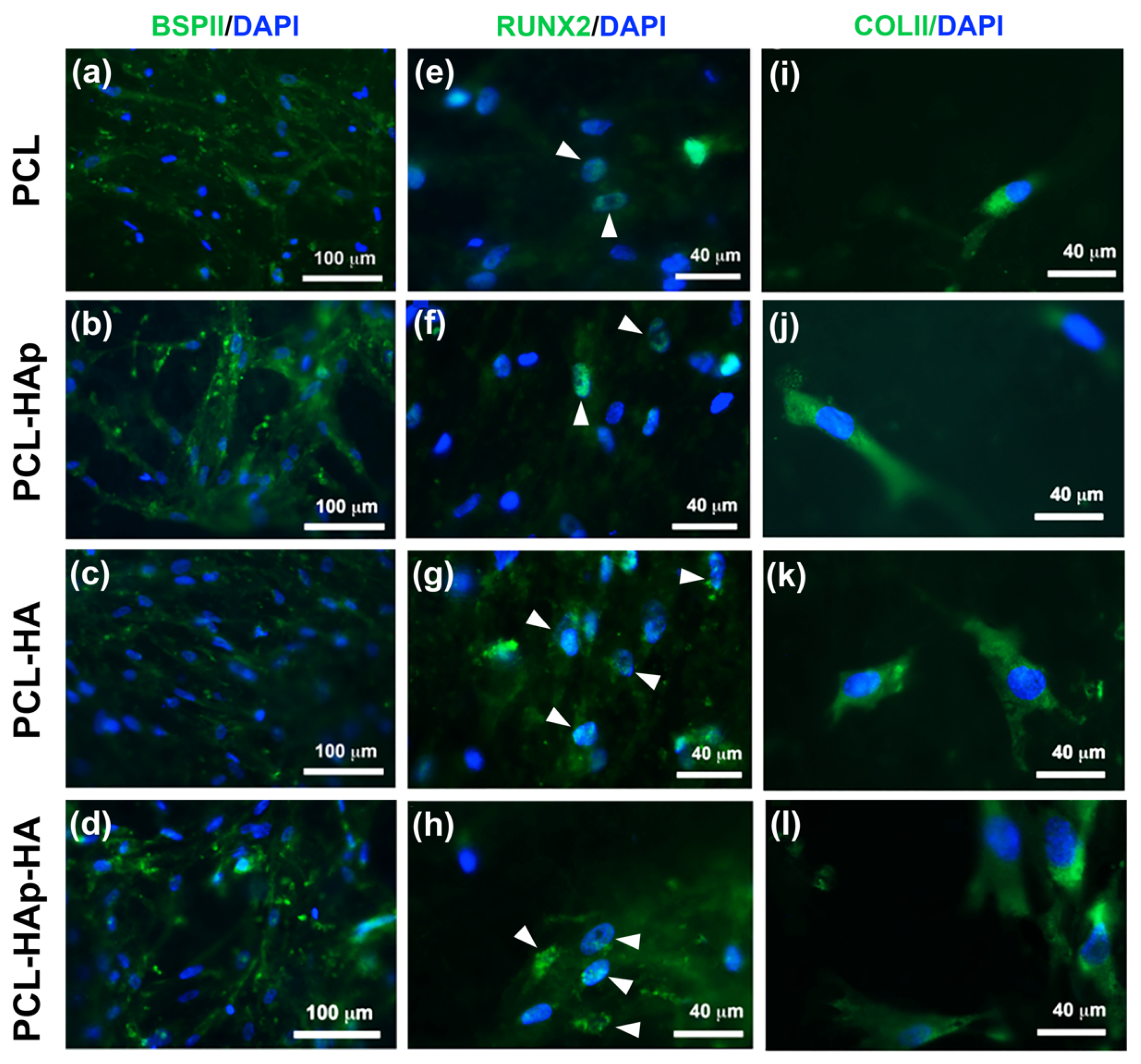 Materials 13 03087 g003