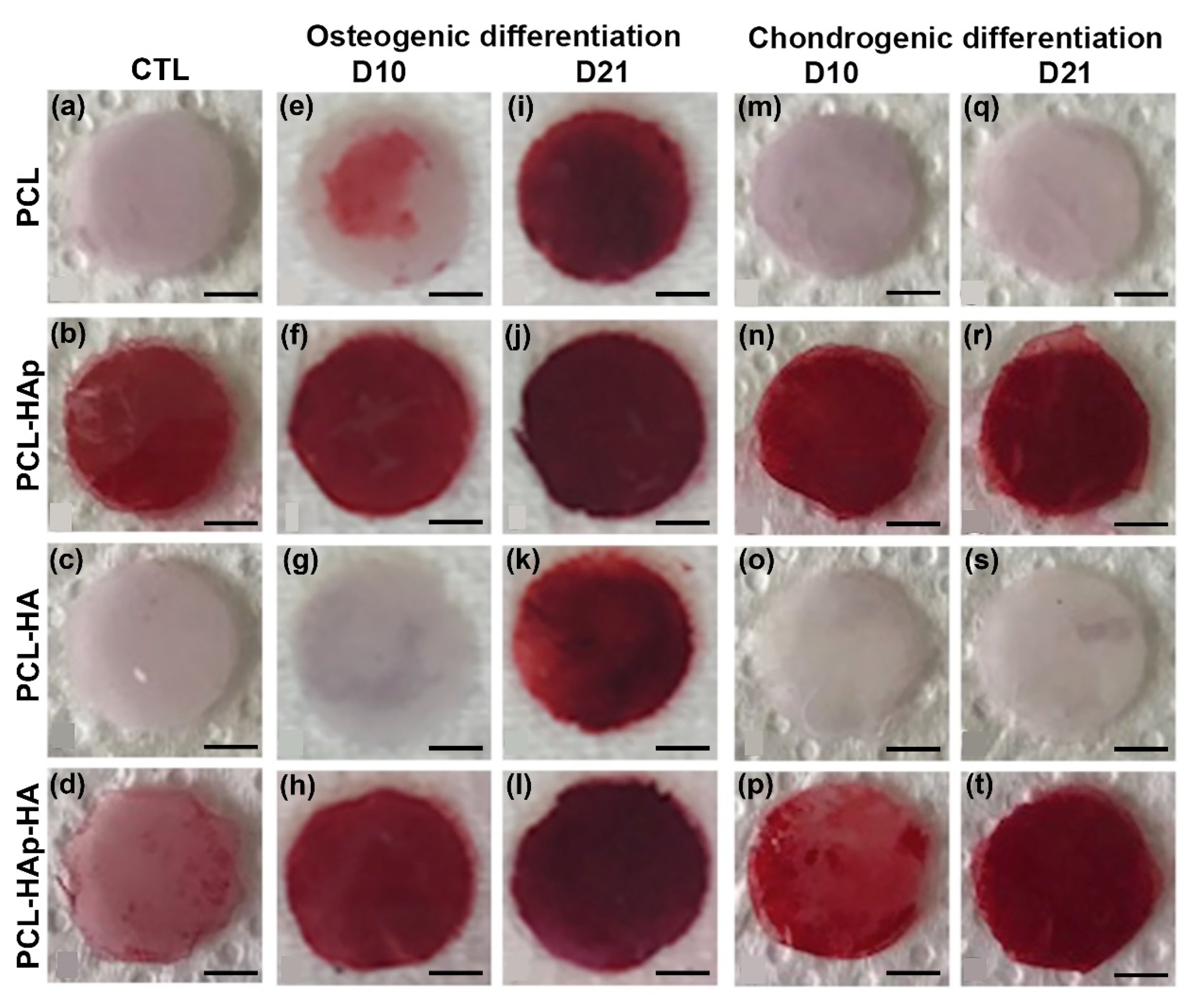 Materials 13 03087 g005