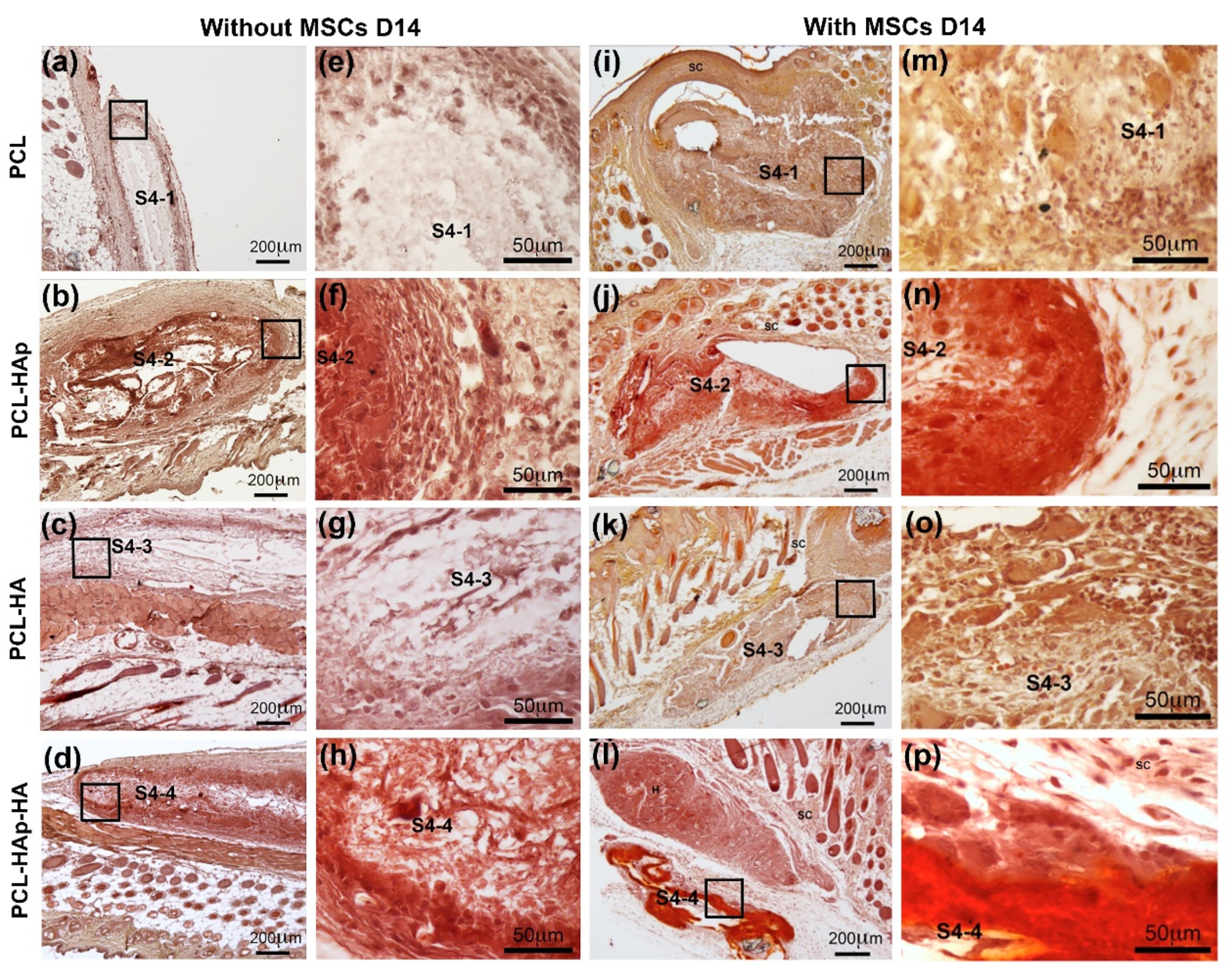 Materials 13 03087 g007