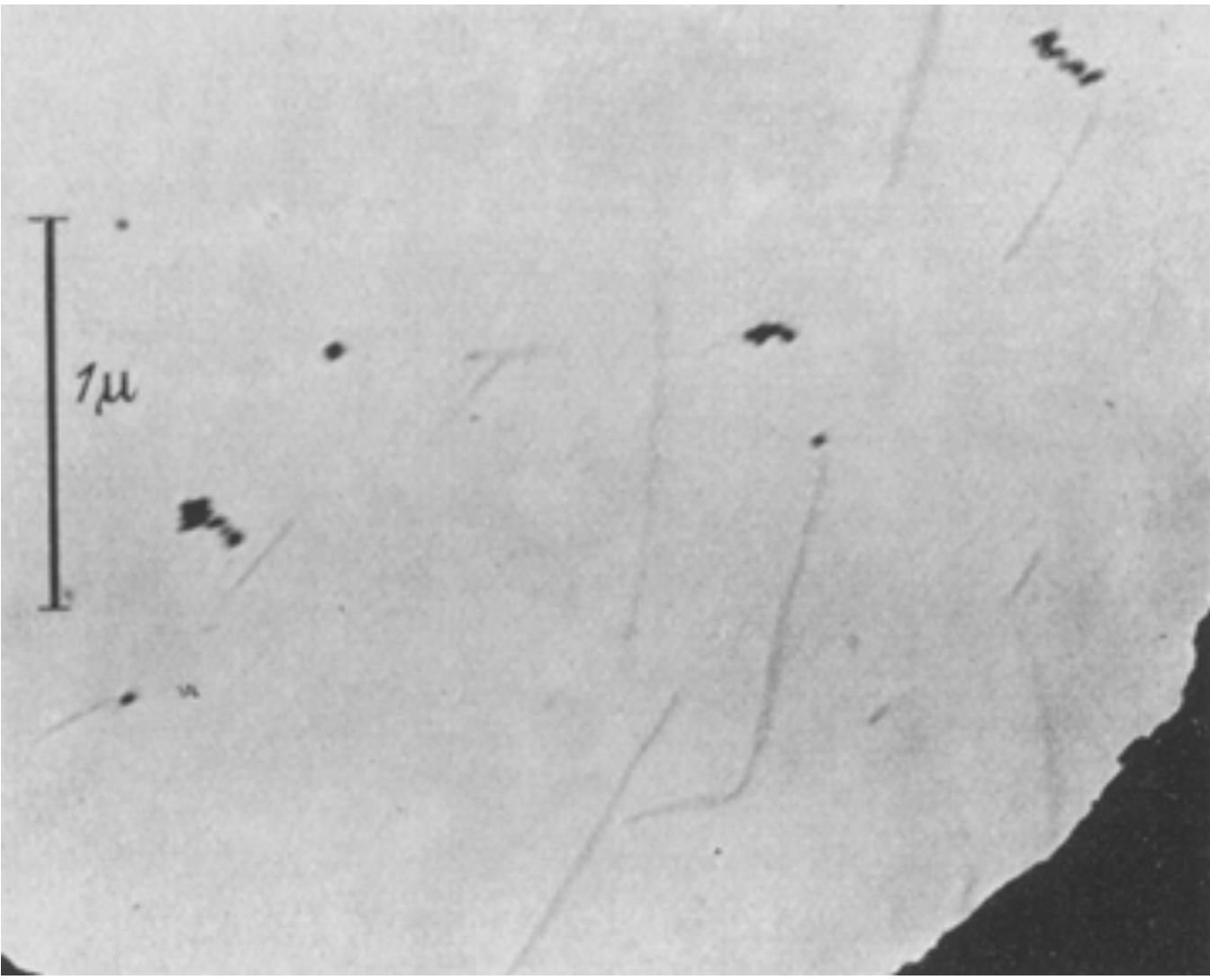 Materials 13 03089 g007