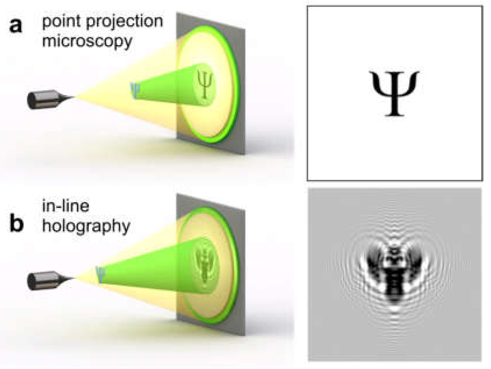 Materials 13 03089 g010