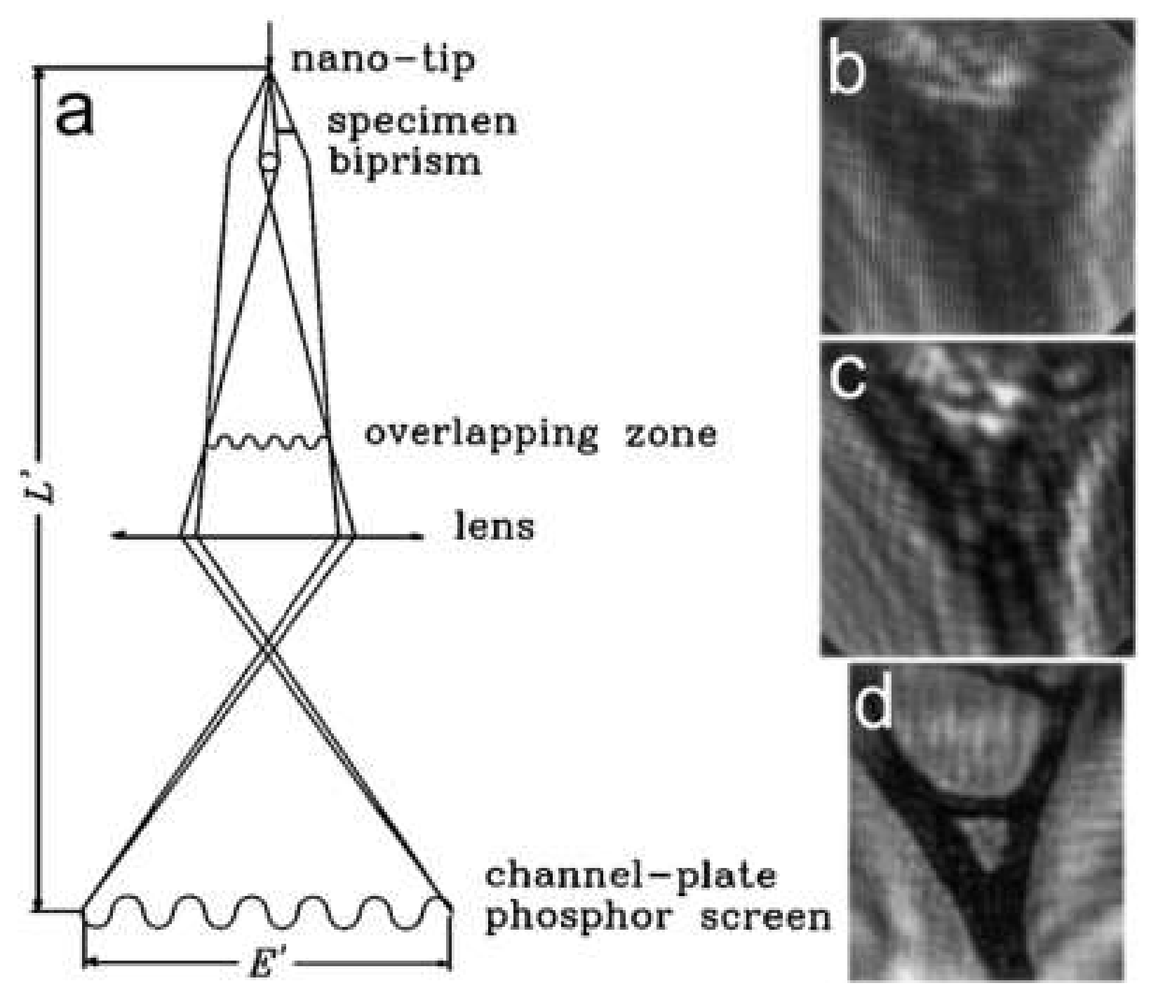Materials 13 03089 g014