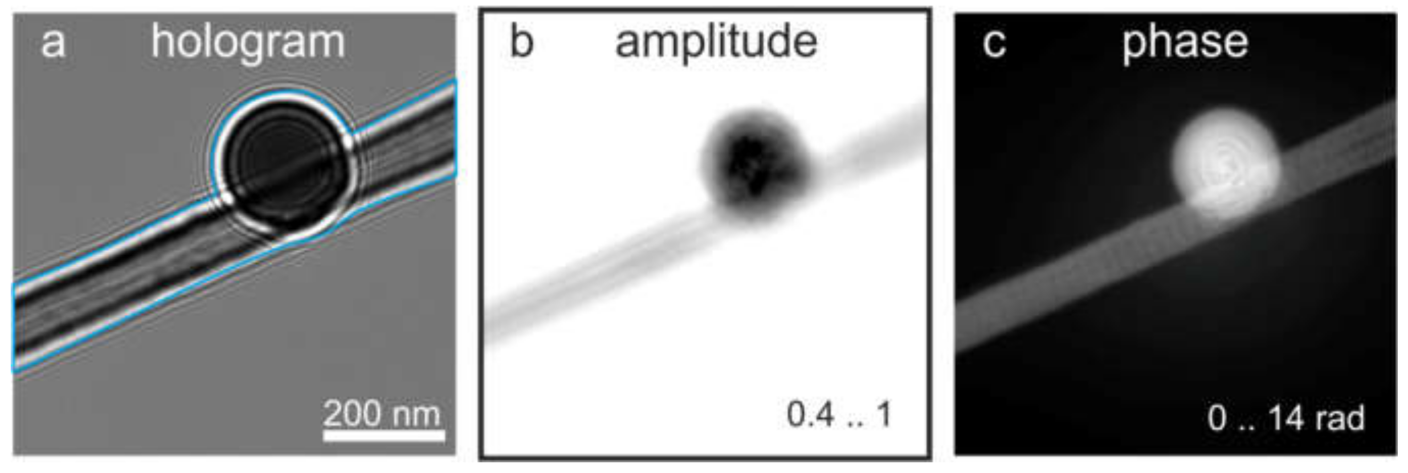 Materials 13 03089 g017