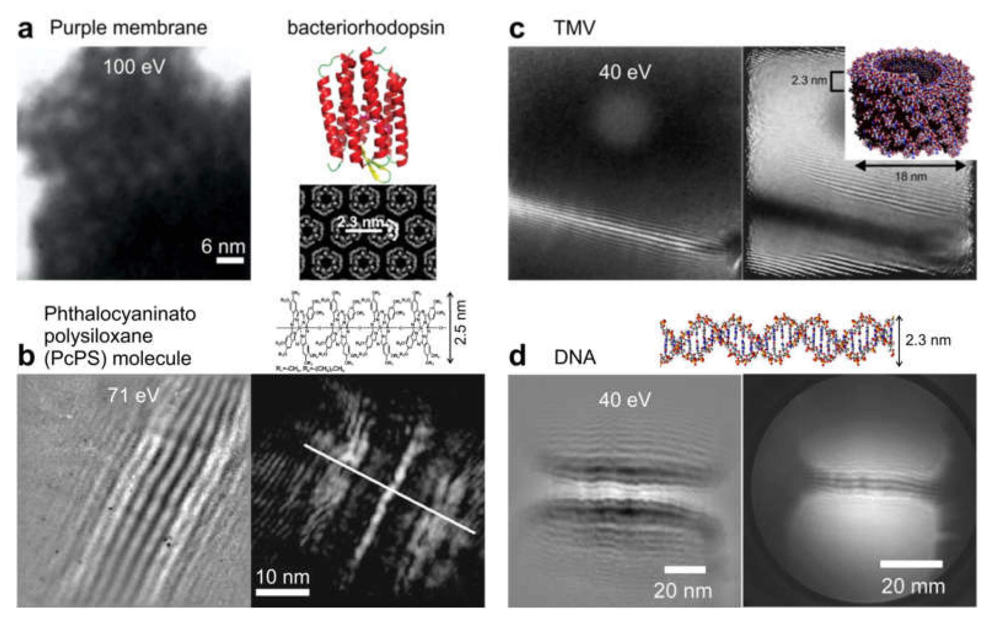 Materials 13 03089 g021