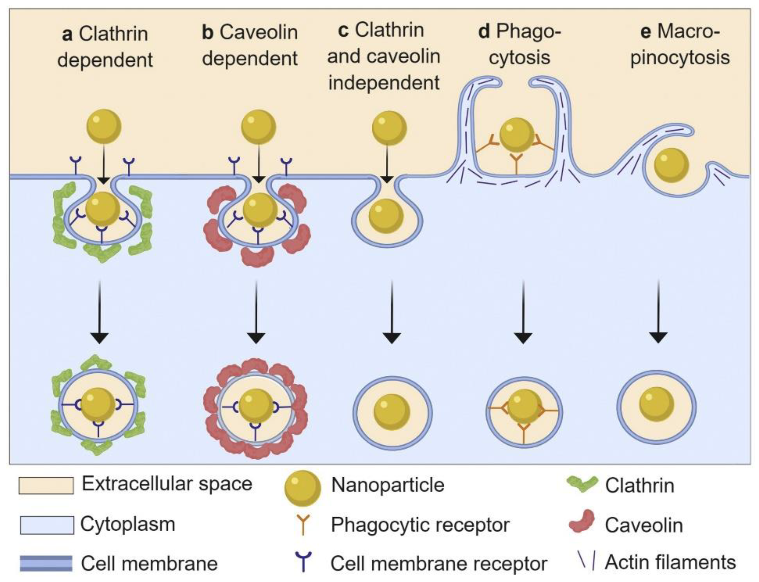 Materials 13 03093 g008