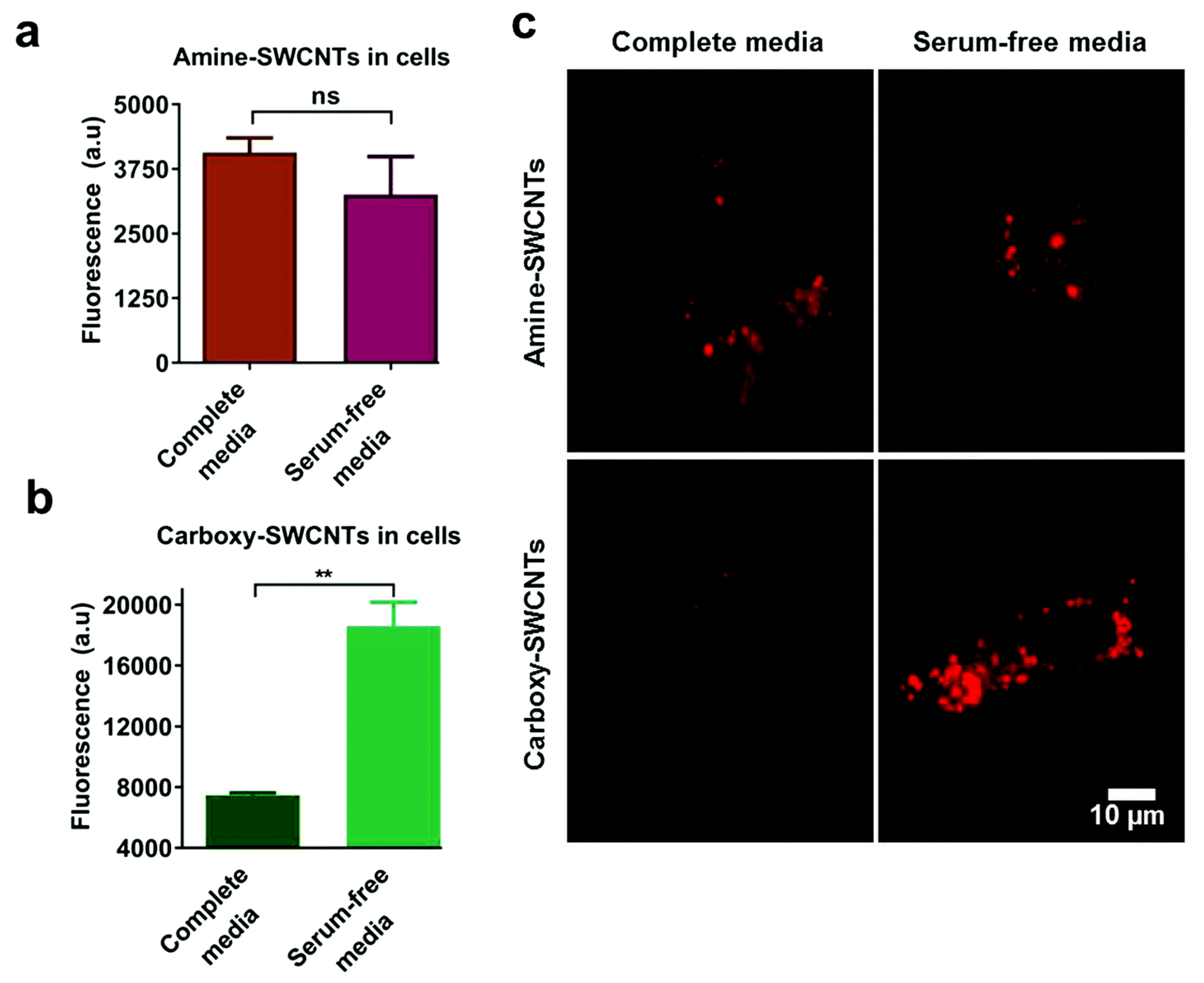 Materials 13 03093 g010