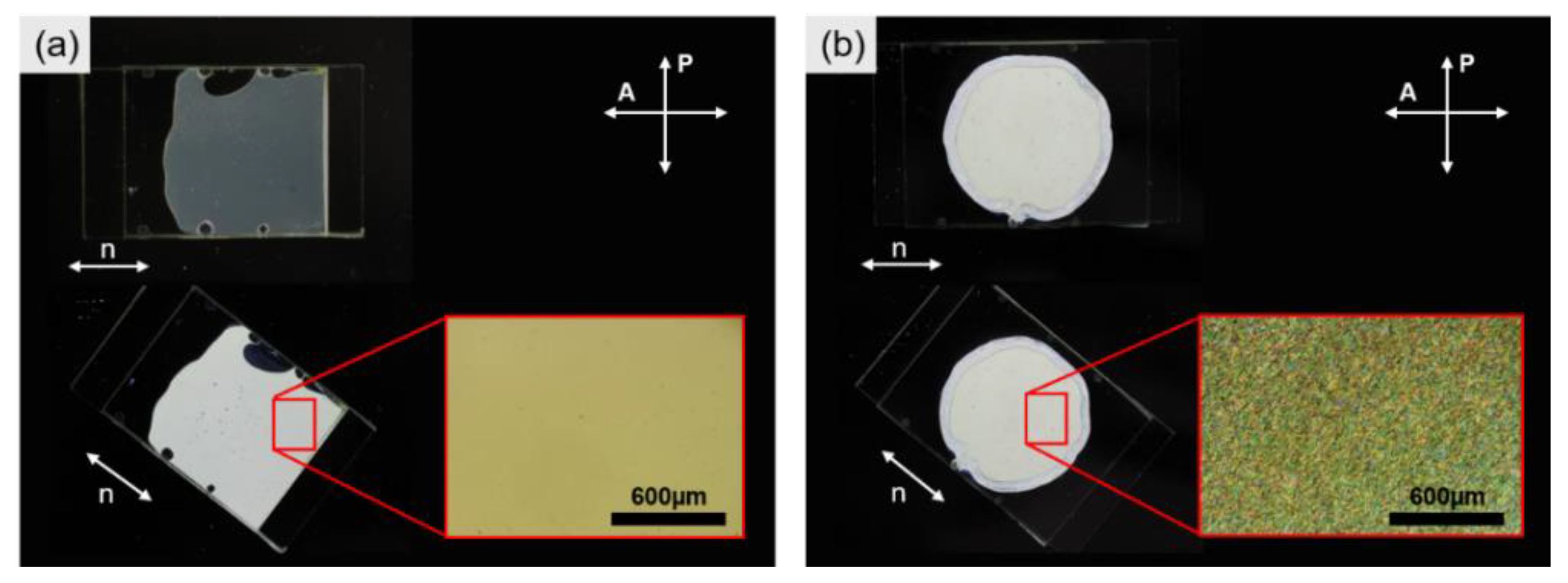 Materials 13 03094 g003
