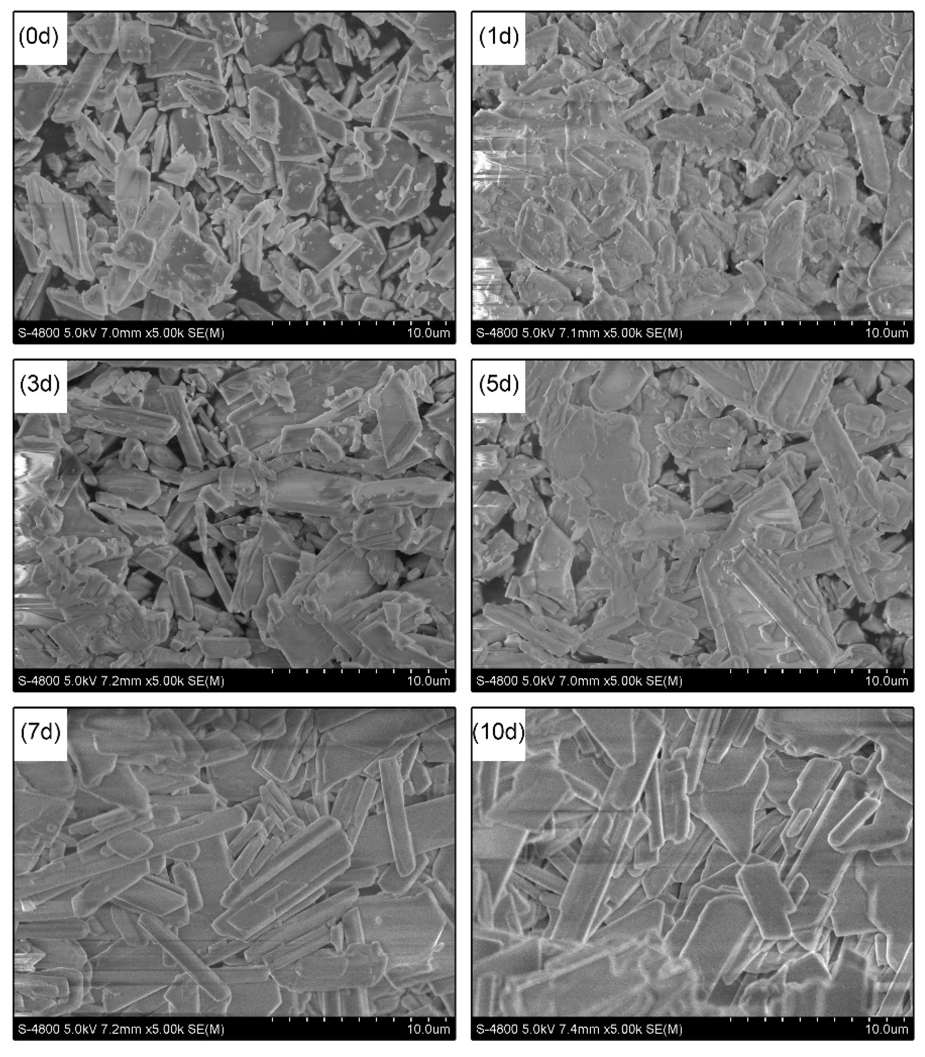 Materials 13 03099 g006