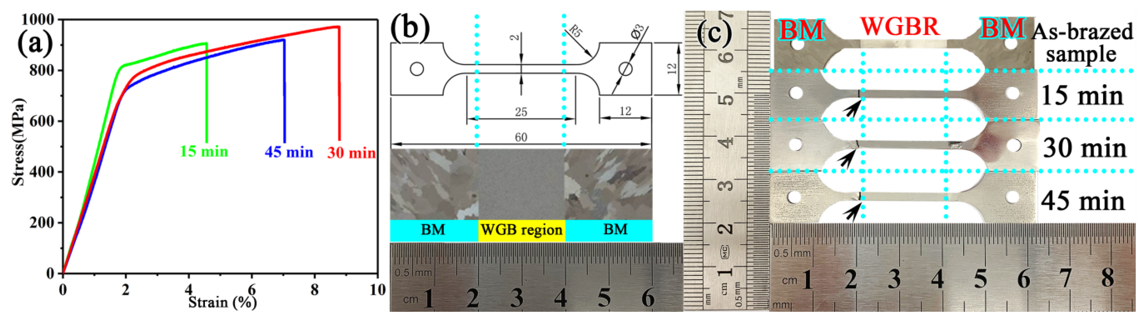 Materials 13 03140 g005
