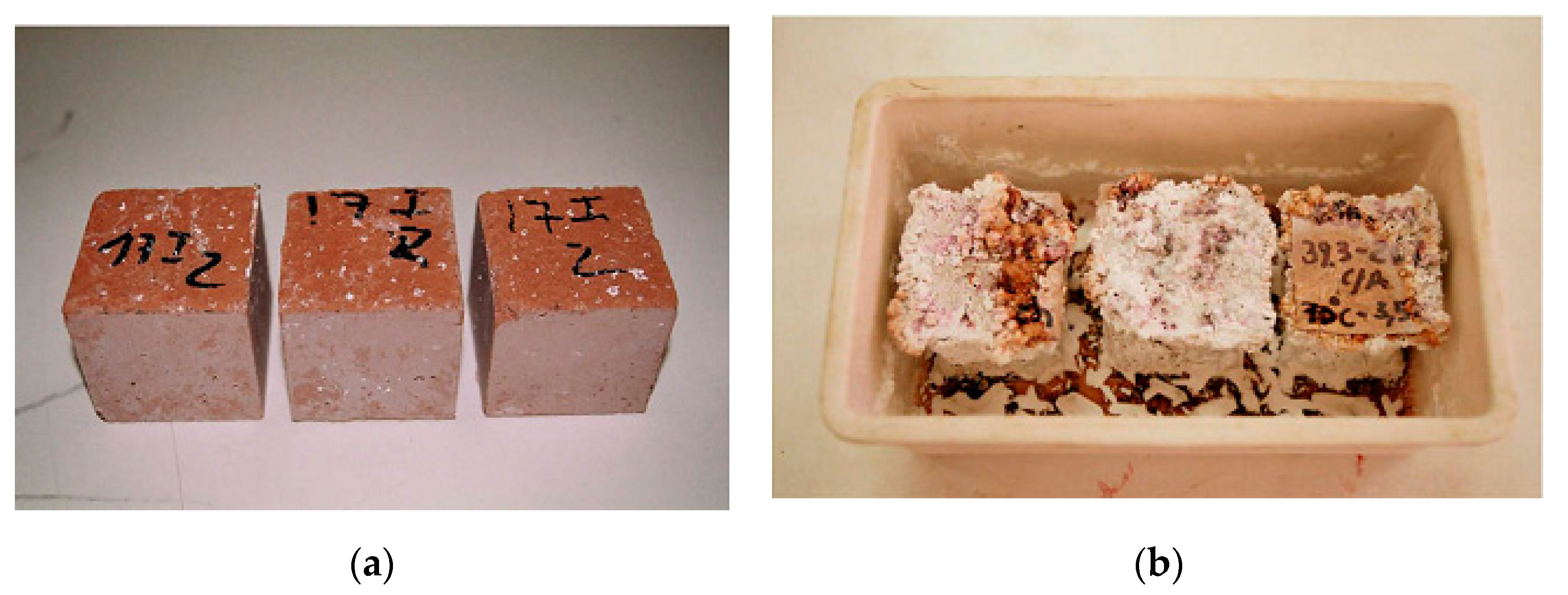 Materials 13 03146 g002