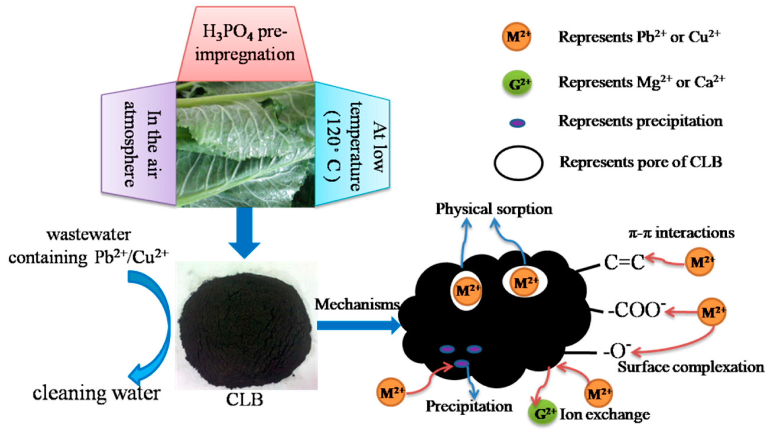 Materials 13 03163 g006