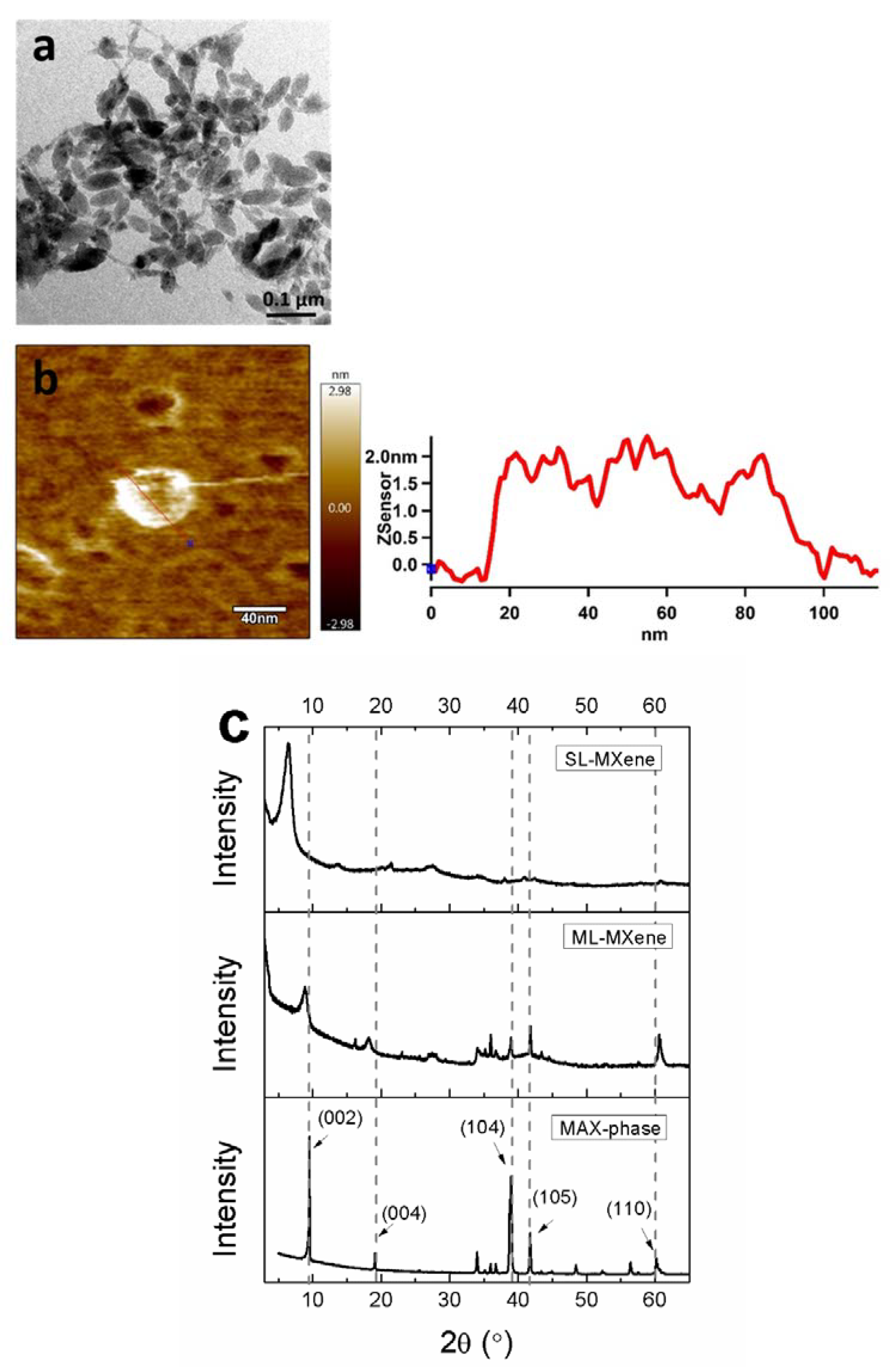Materials 13 03171 g002