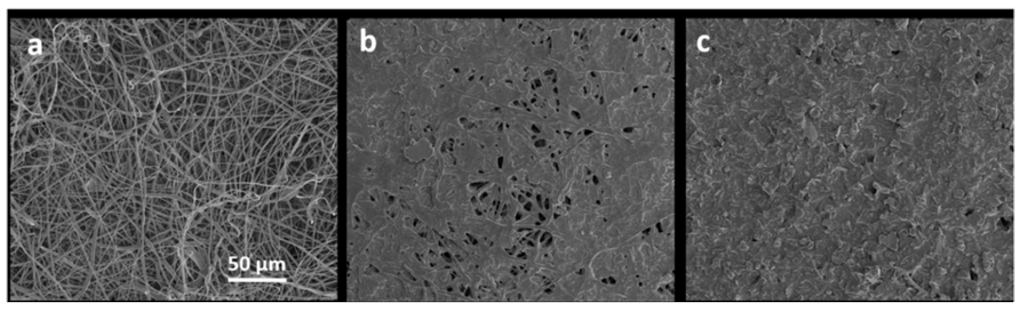 Materials 13 03171 g003