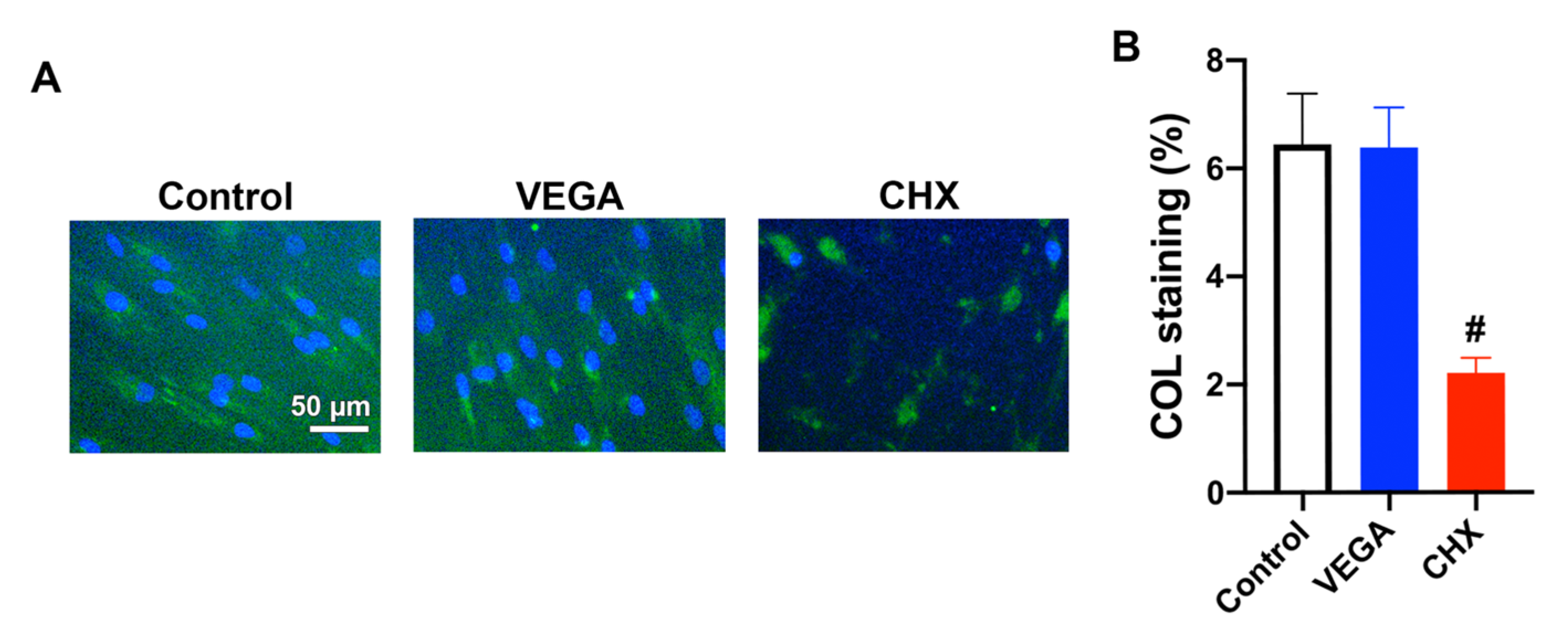 Materials 13 03190 g005