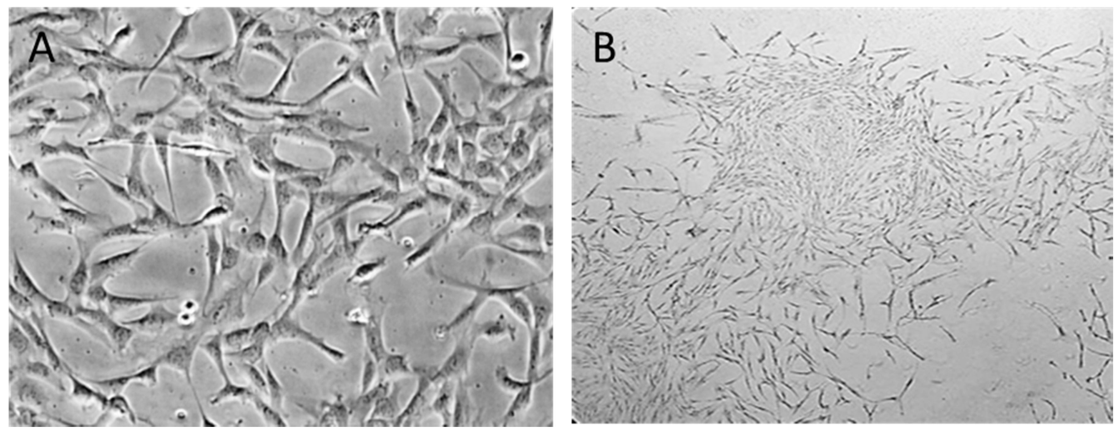 Materials 13 03210 g001