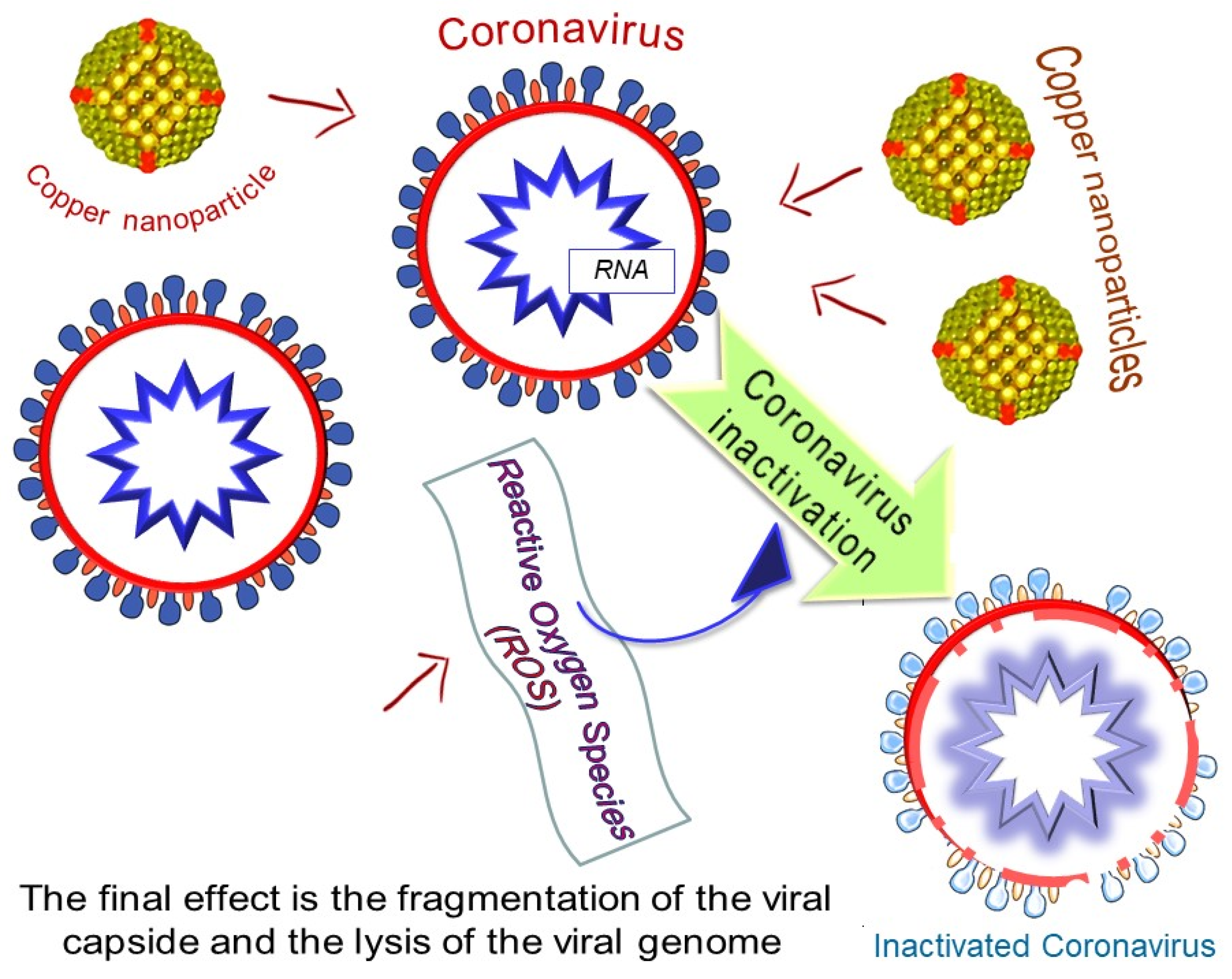 Materials 13 03244 g002