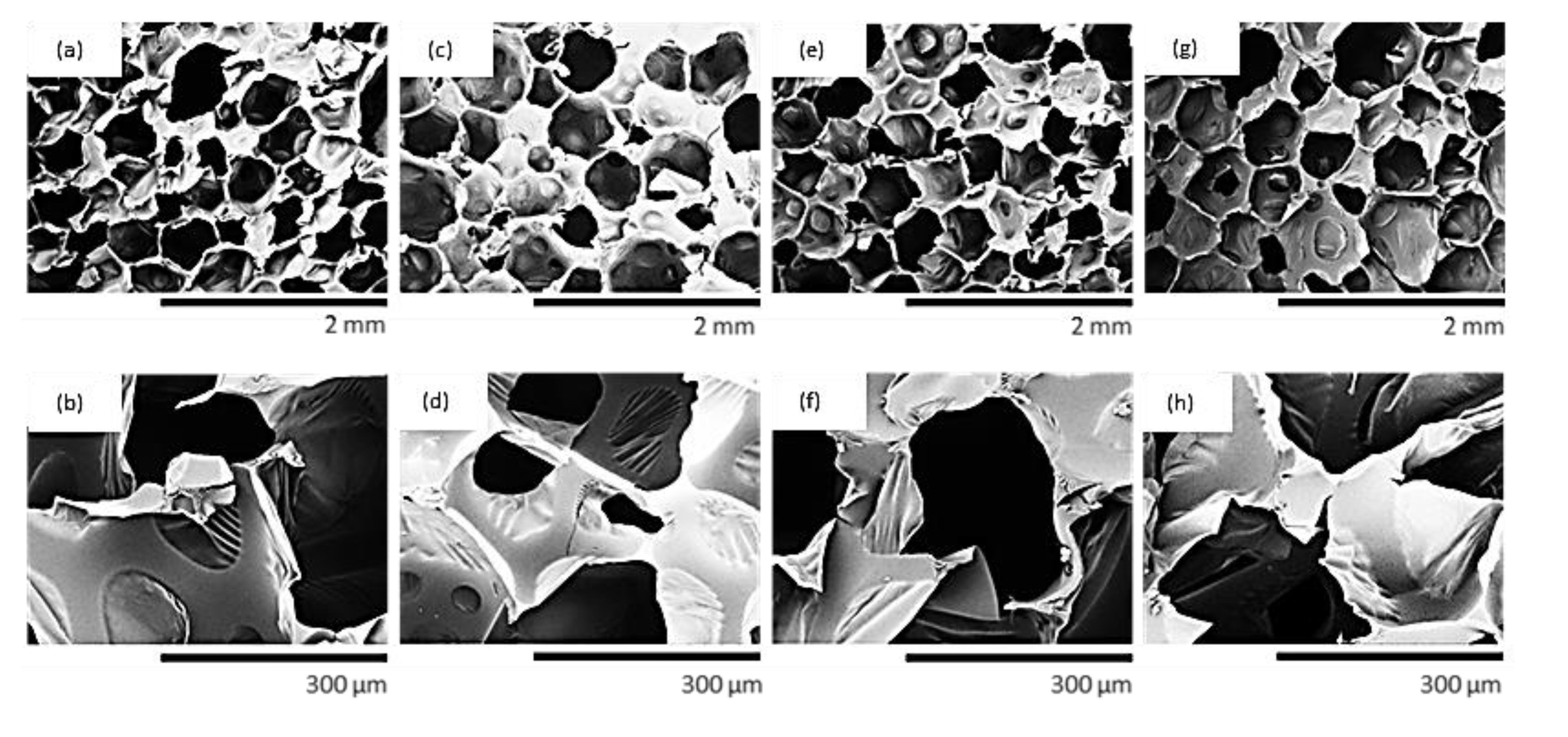 Materials 13 03245 g005 Materials 13 03245 g005