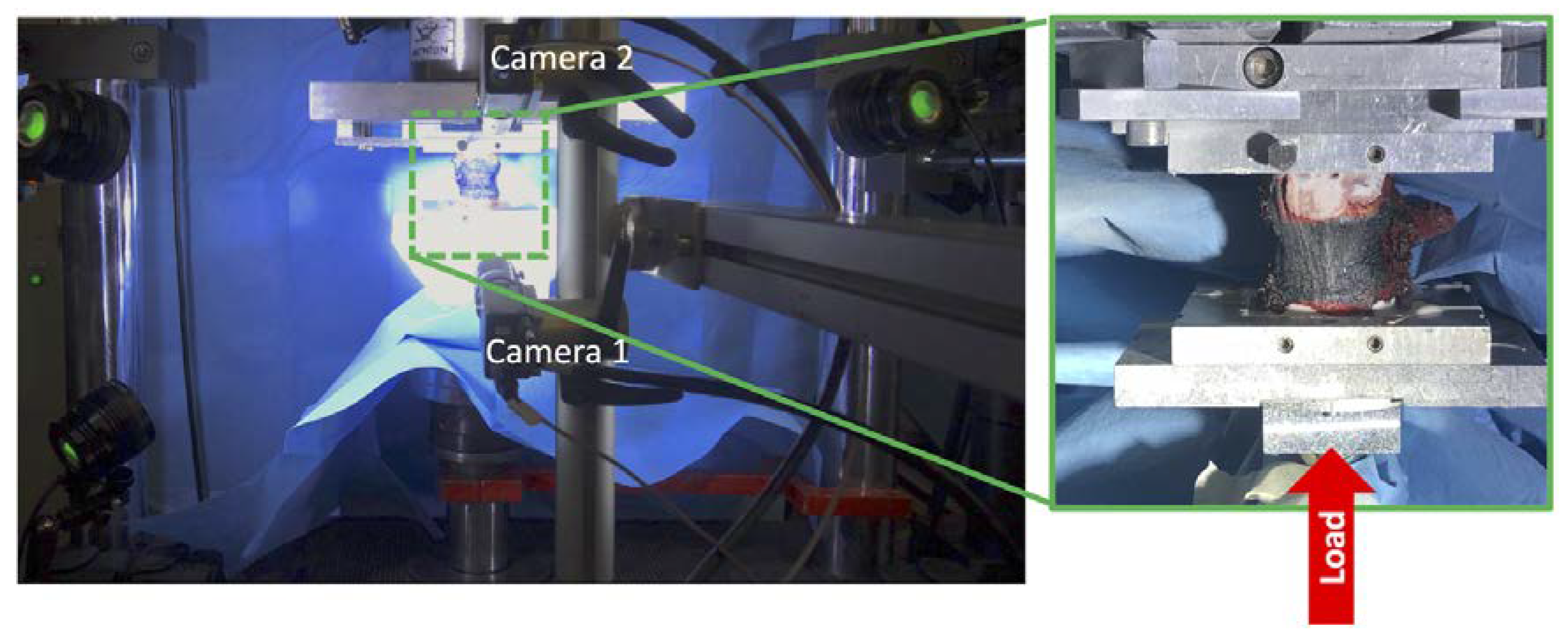 Materials 13 03256 g003 Materials 13 03256 g003