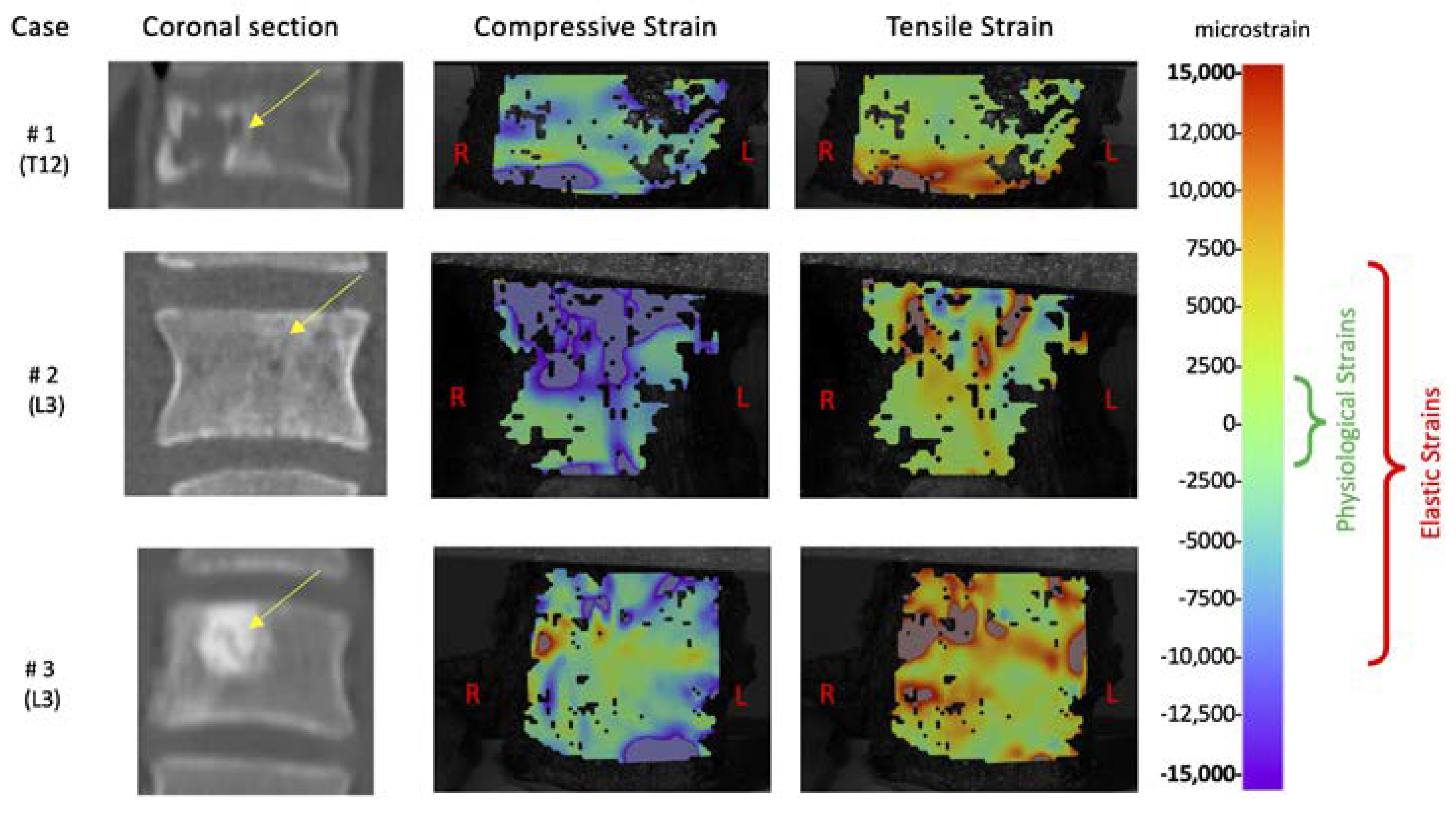 Materials 13 03256 g004 Materials 13 03256 g004