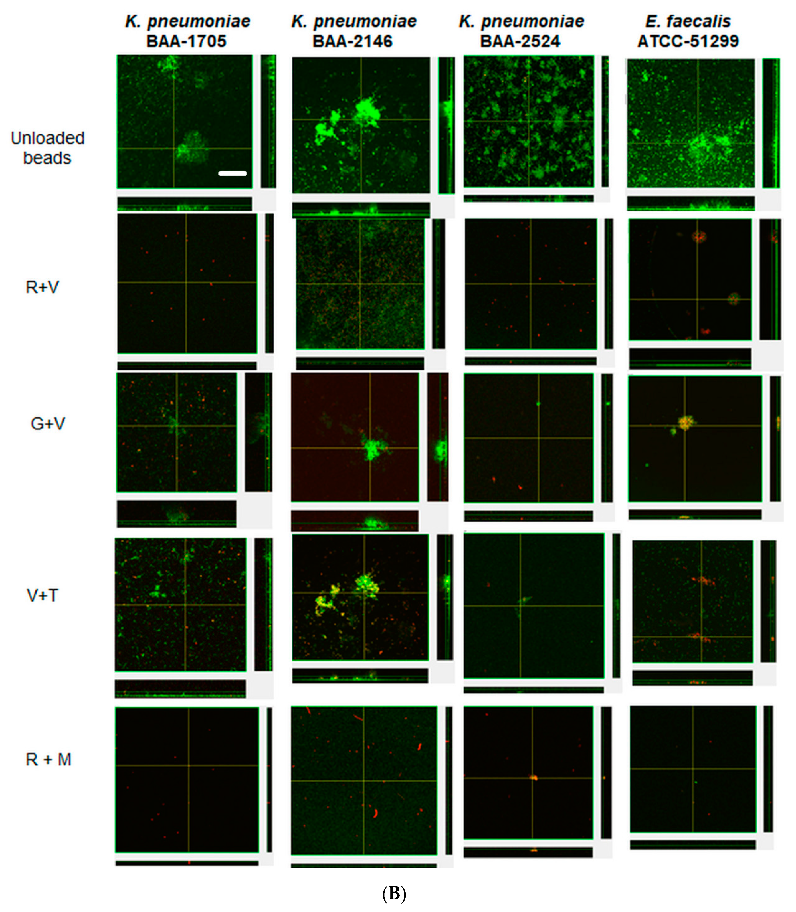 Materials 13 03258 g003b
