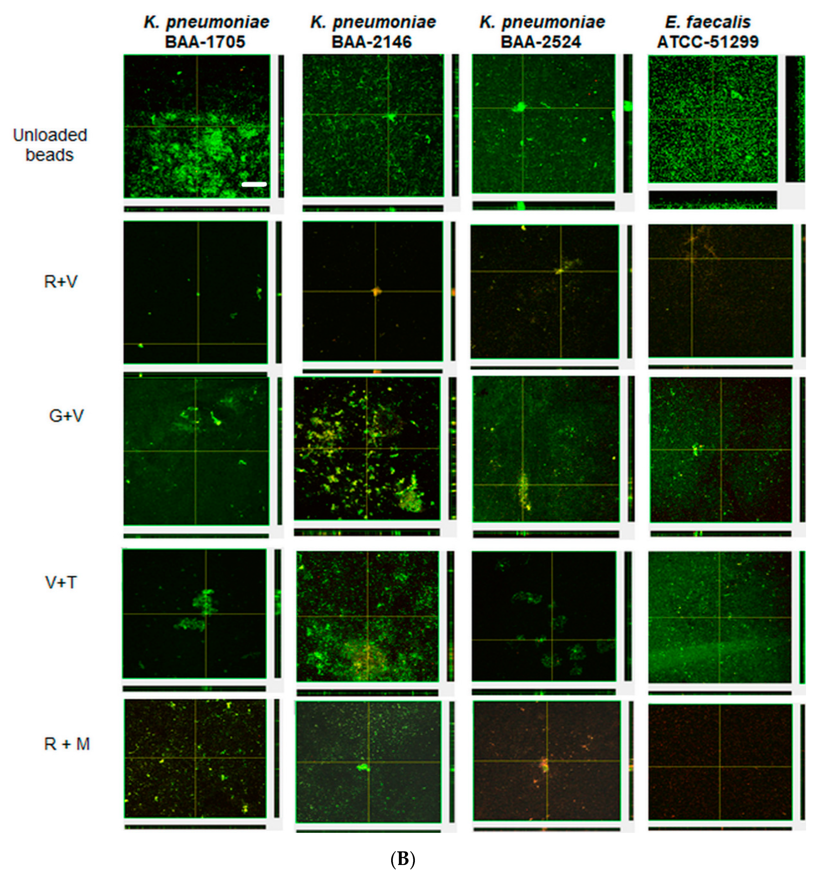 Materials 13 03258 g005b