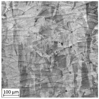 Materials 13 03259 i001