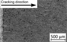 Materials 13 03259 i013