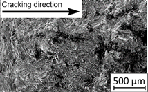 Materials 13 03259 i017