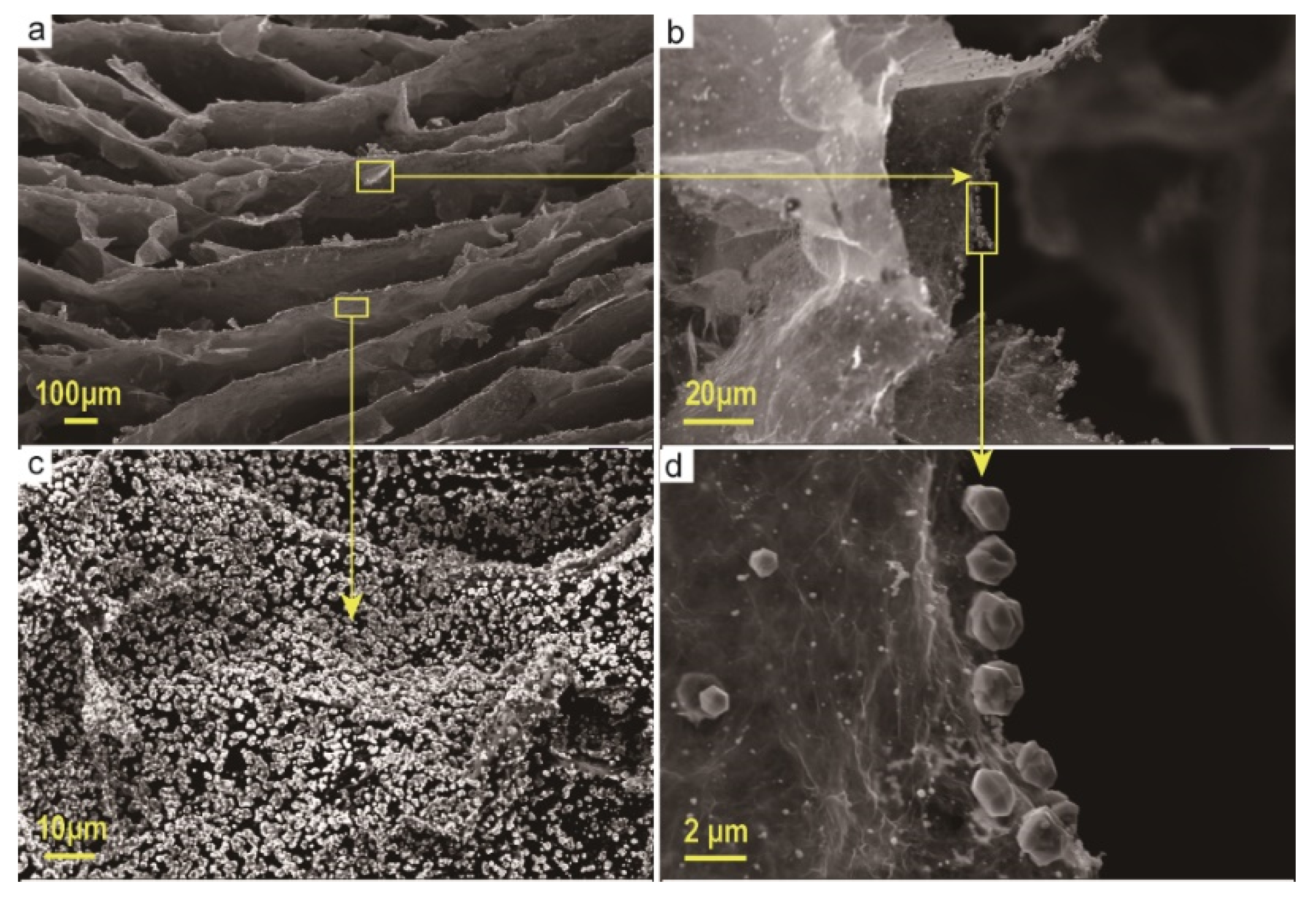 Materials 13 03271 g002