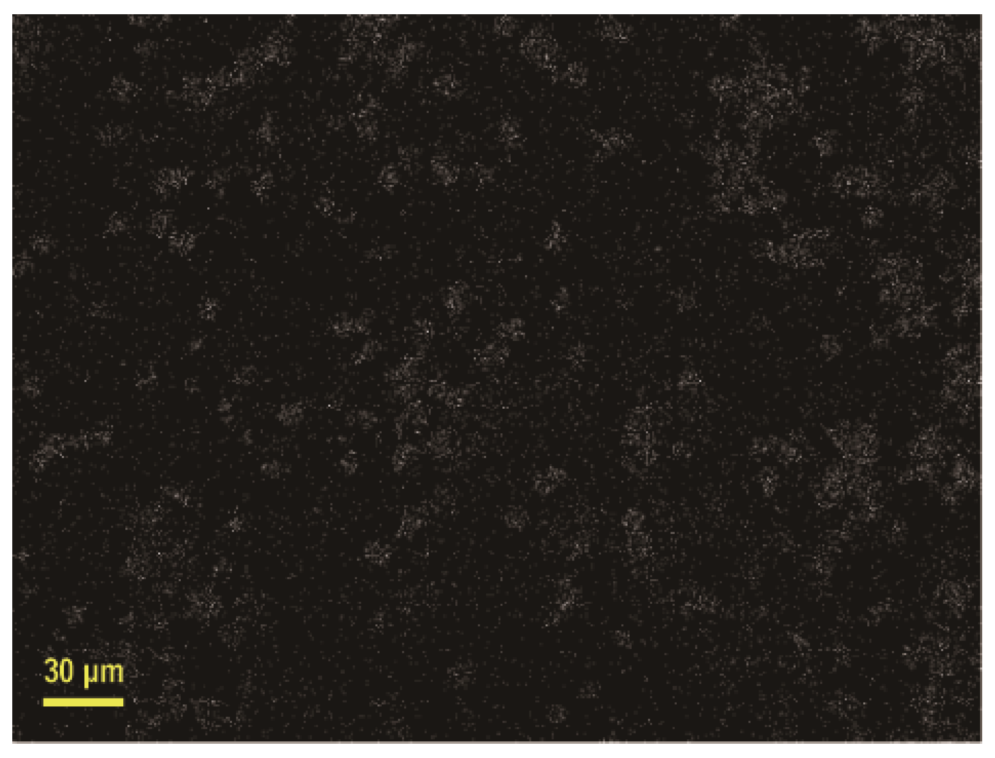 Materials 13 03271 g003