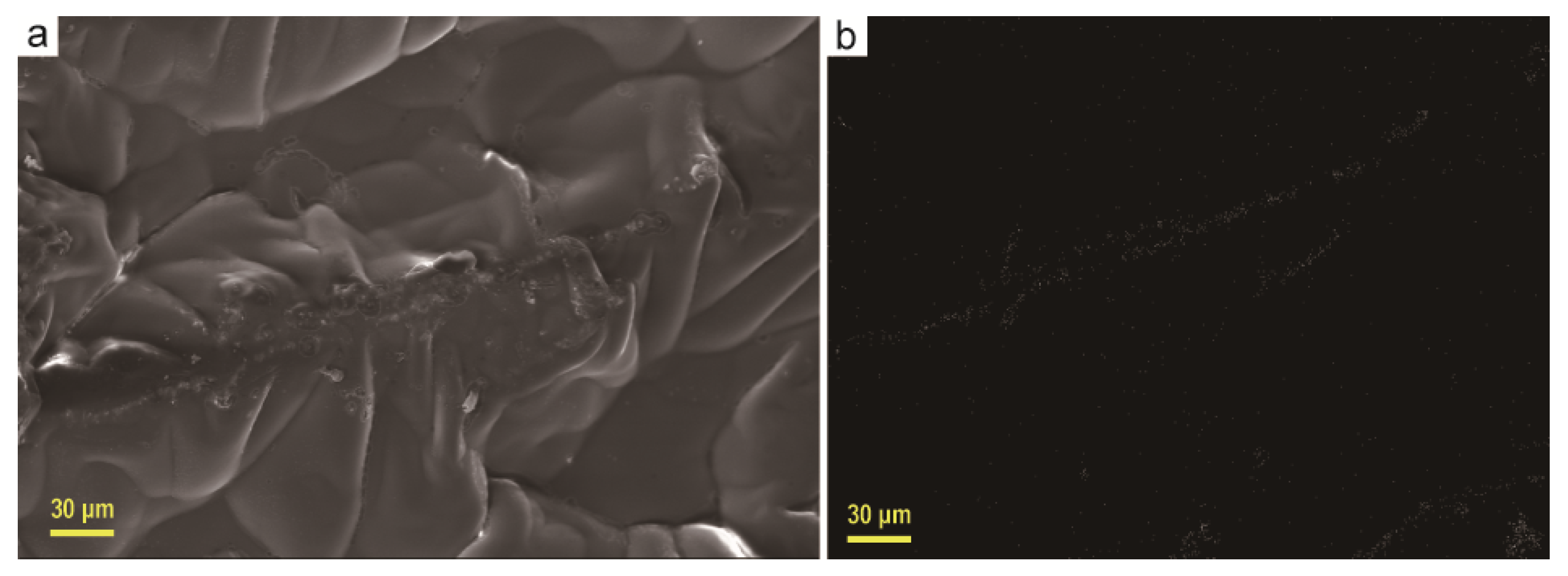 Materials 13 03271 g004