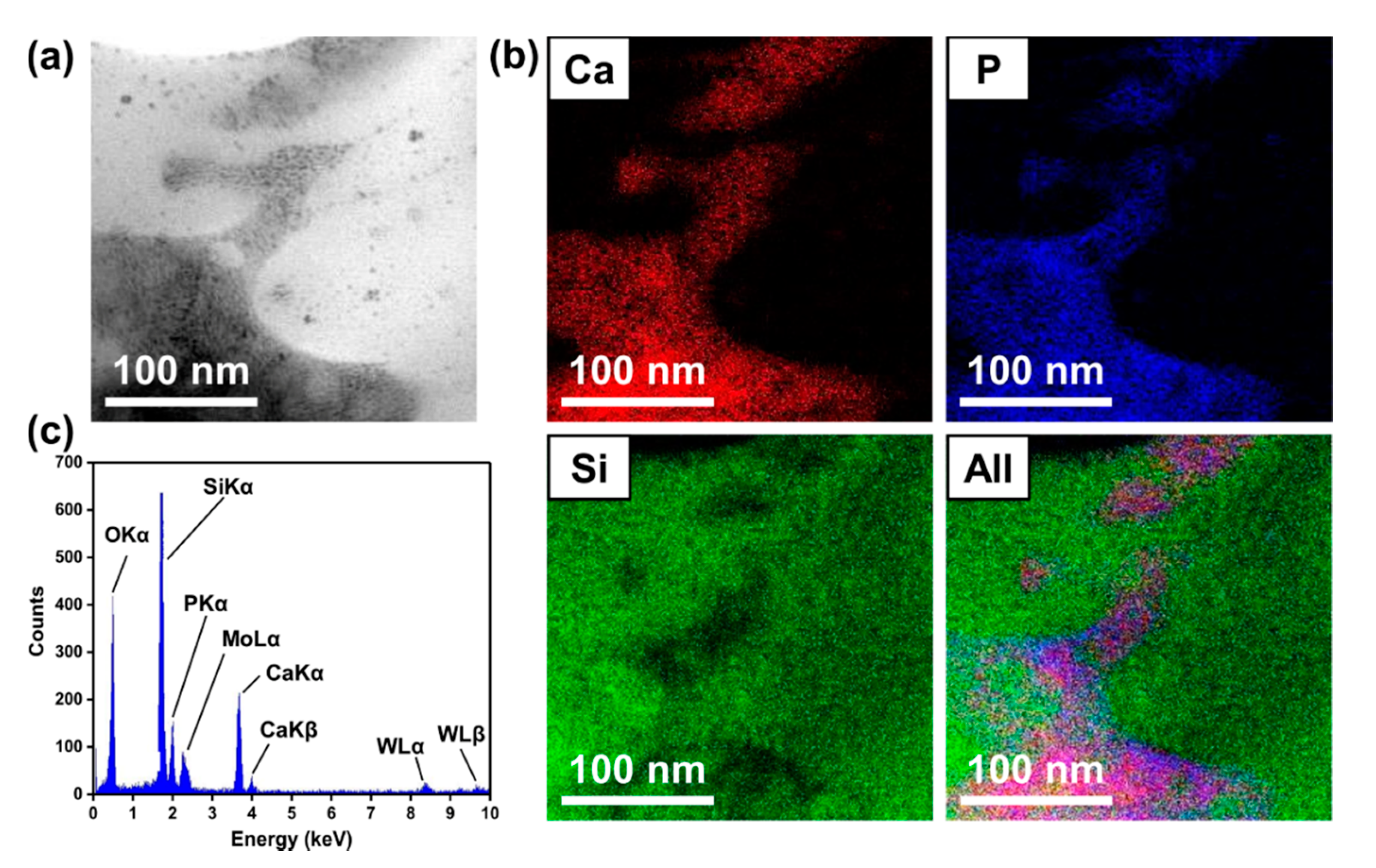 Materials 13 03281 g005