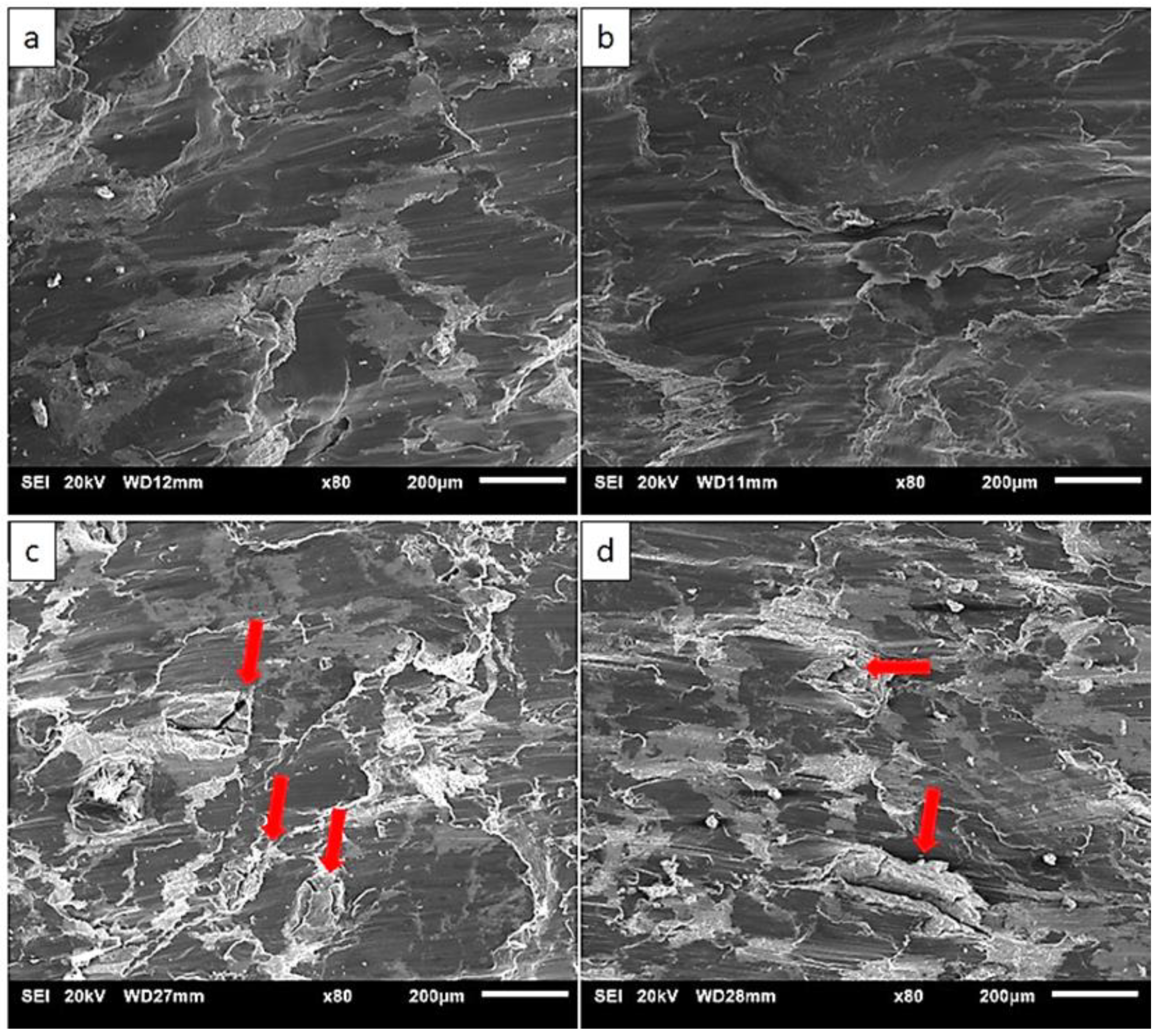 Materials 13 03283 g007