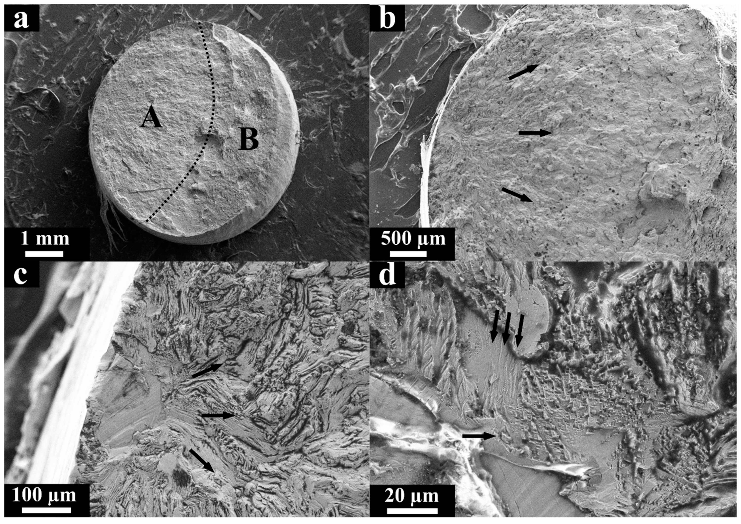 Materials 13 03293 g004