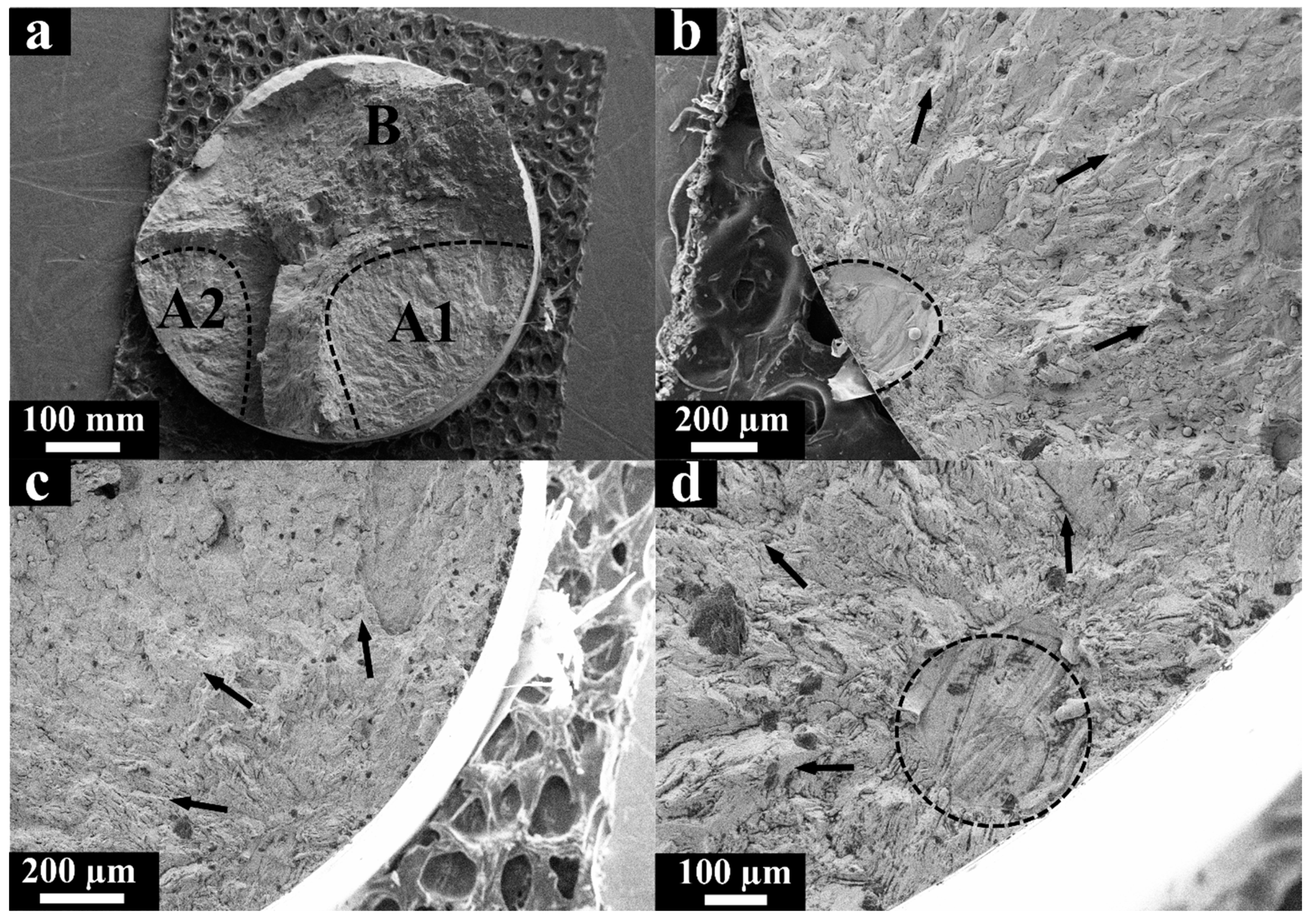 Materials 13 03293 g005